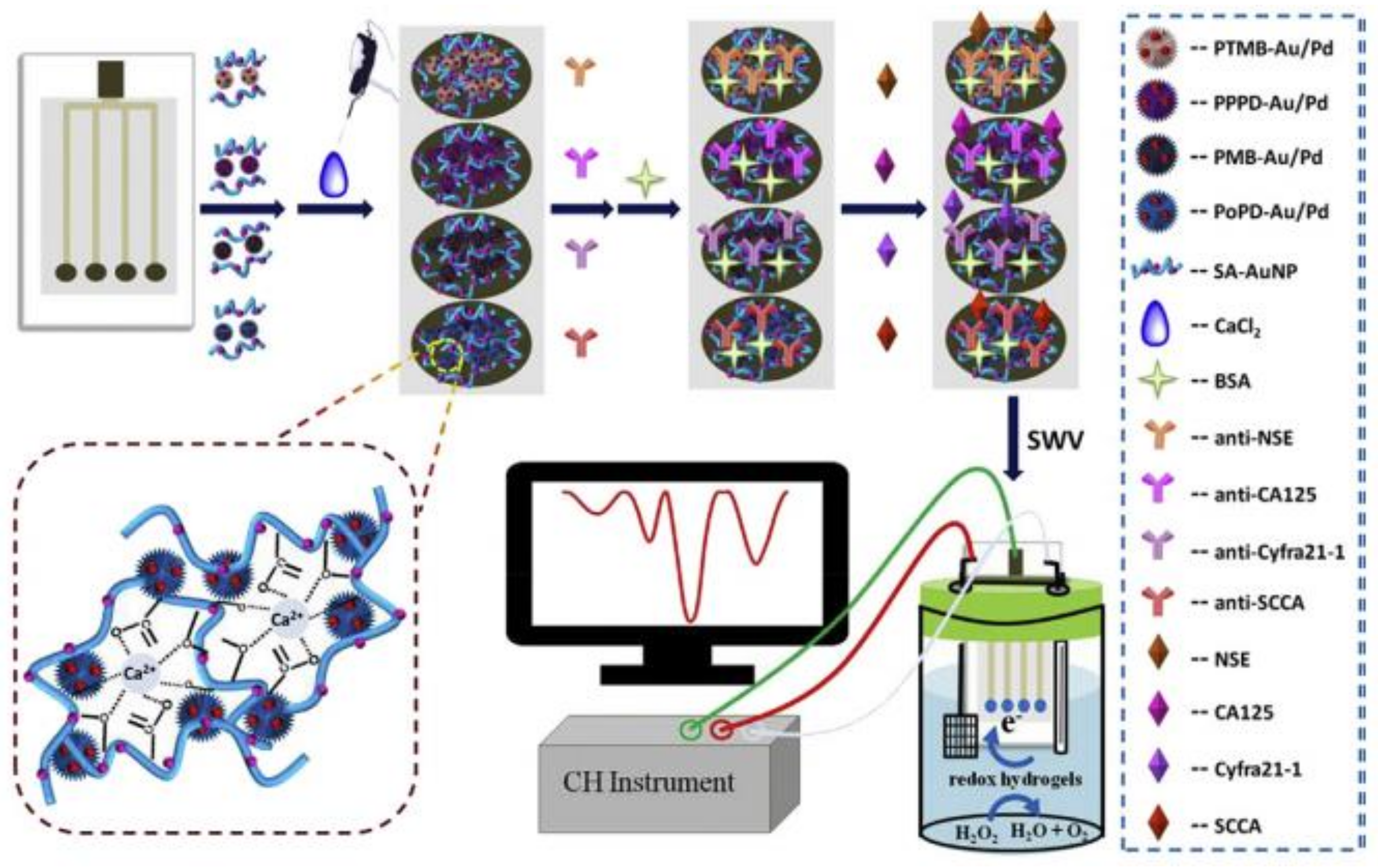 Biosensors 11 00336 g004