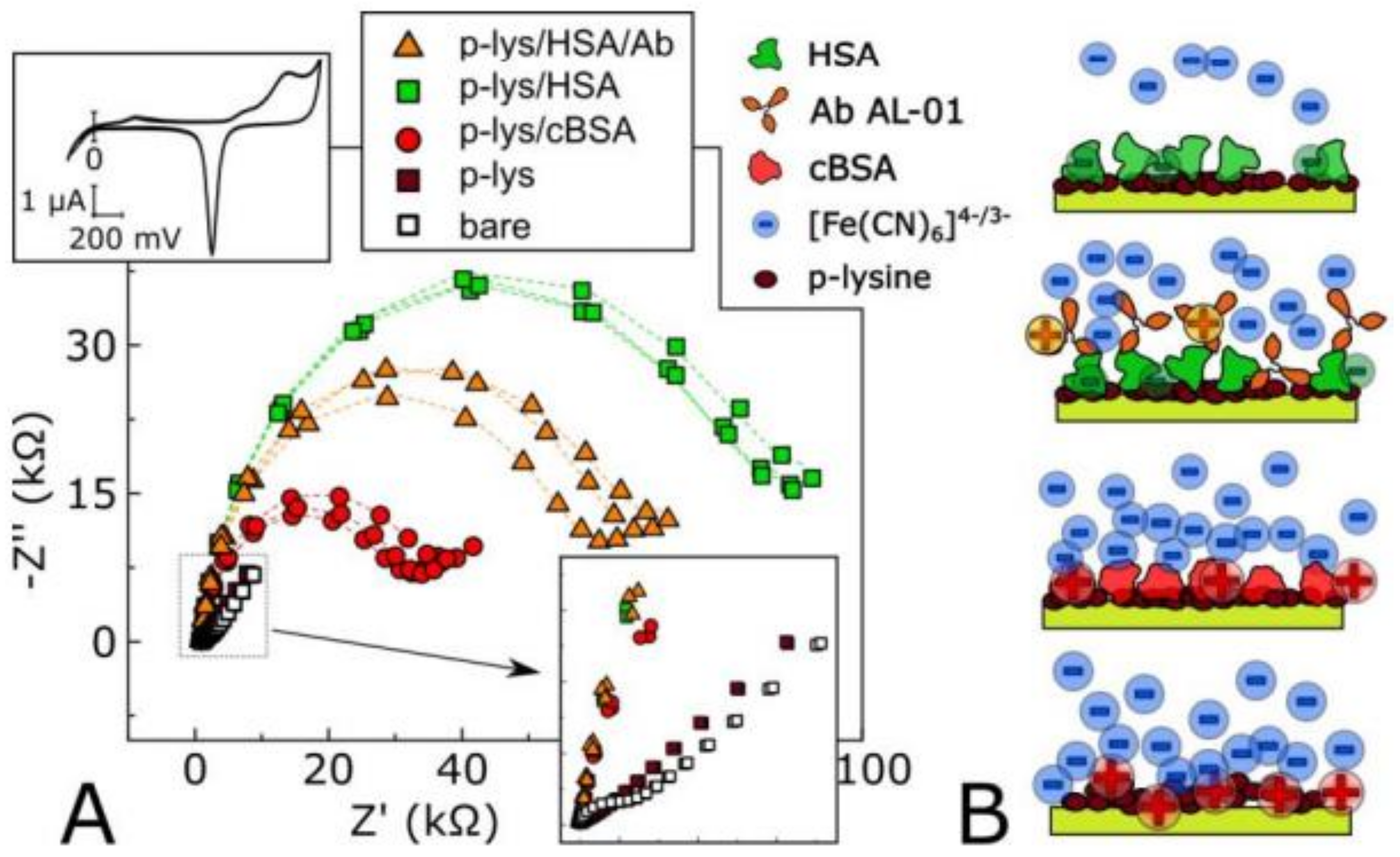 Biosensors 11 00336 g005