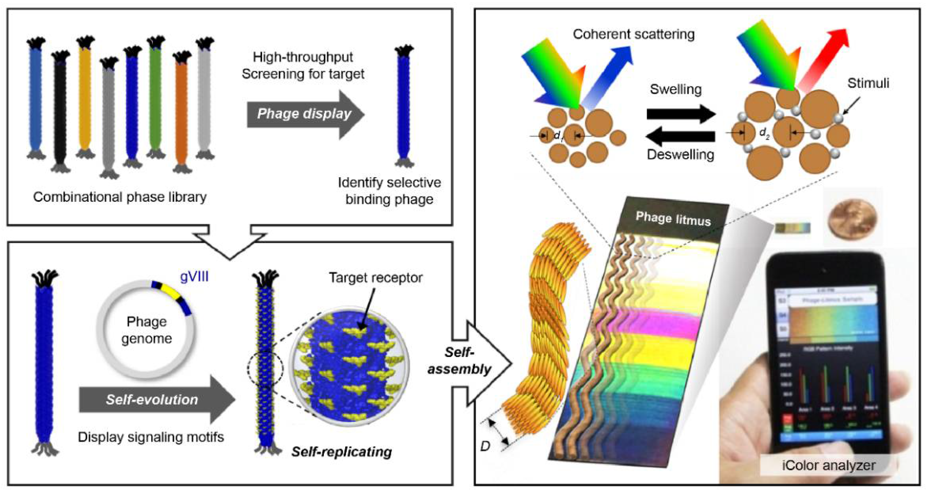 Biosensors 11 00337 g004