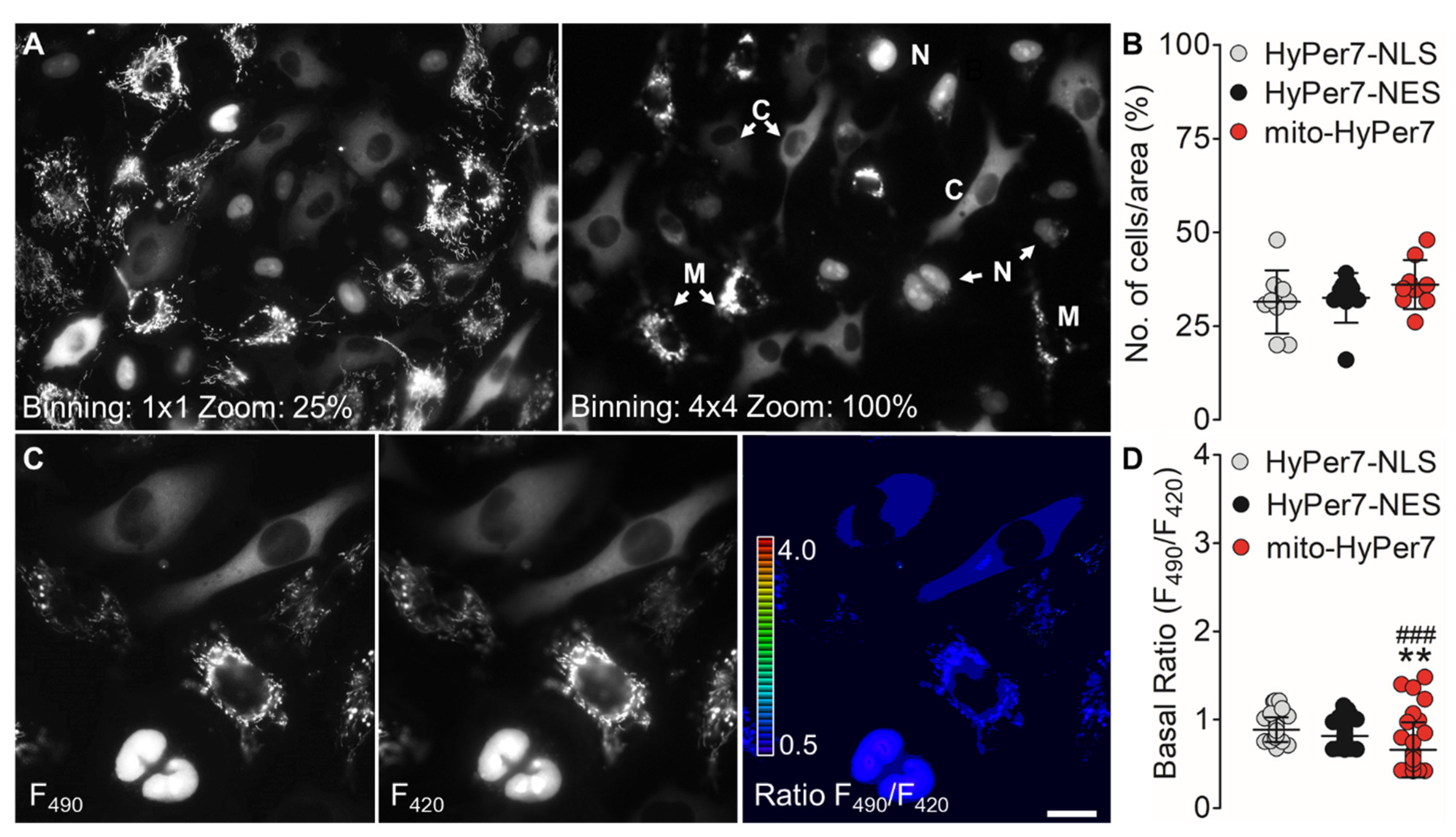 Biosensors 11 00338 g002 Biosensors 11 00338 g002