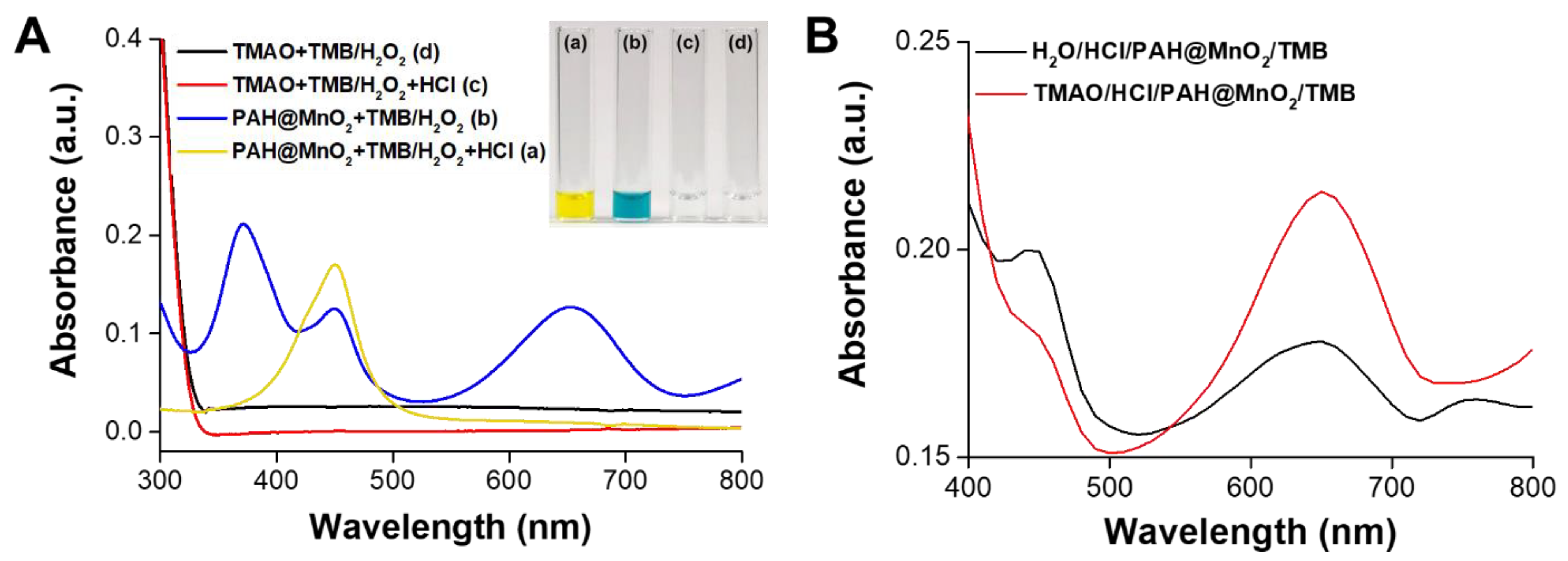 Biosensors 11 00339 g002