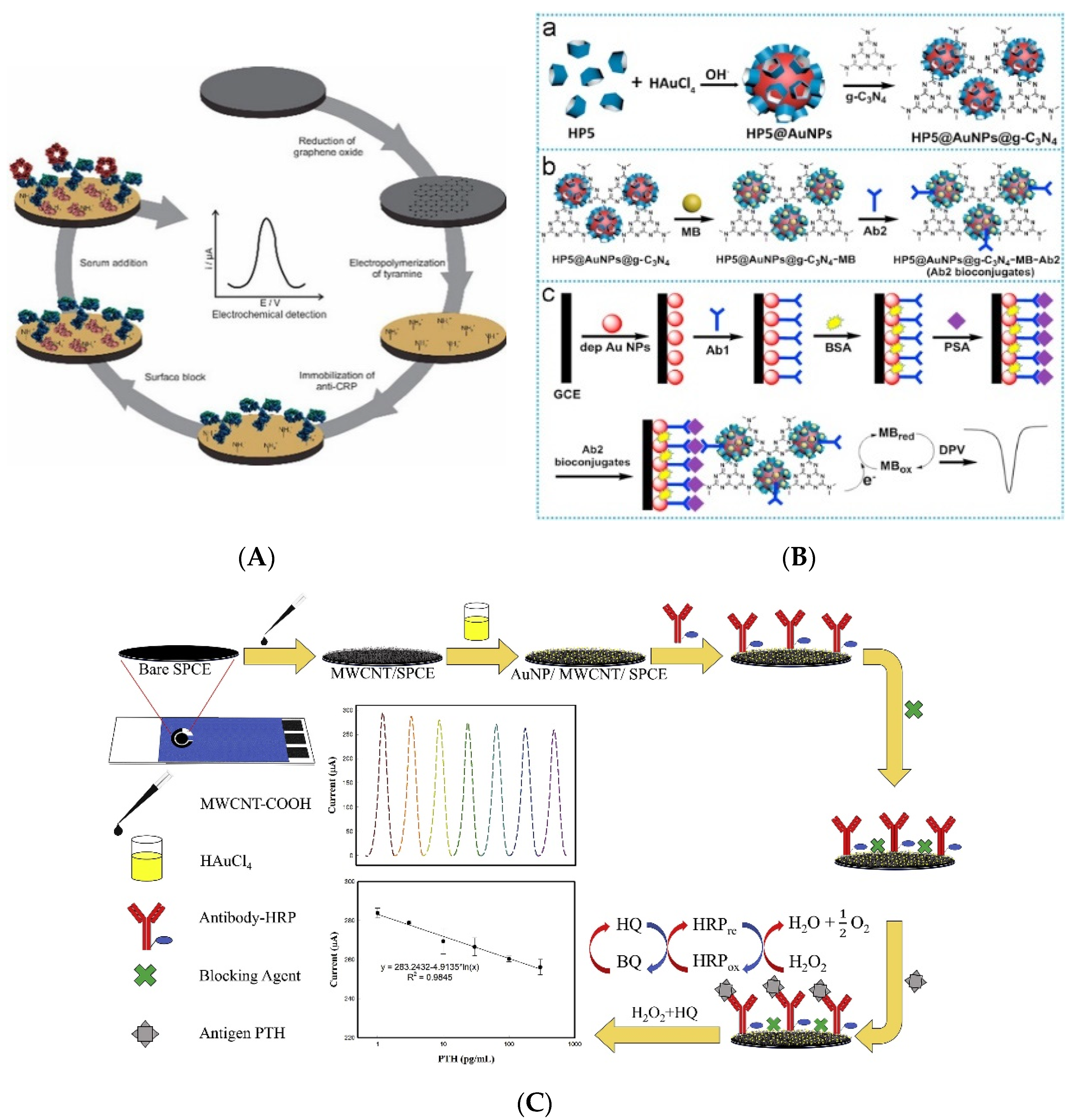 Biosensors | Free Full-Text | Recent Progress in Electrochemical