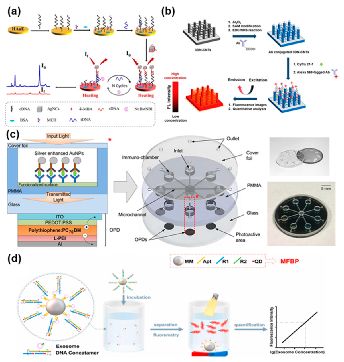 Biosensors 11 00396 g007