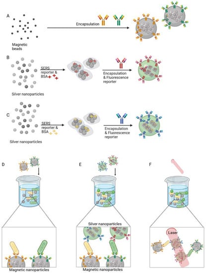 Biosensors 