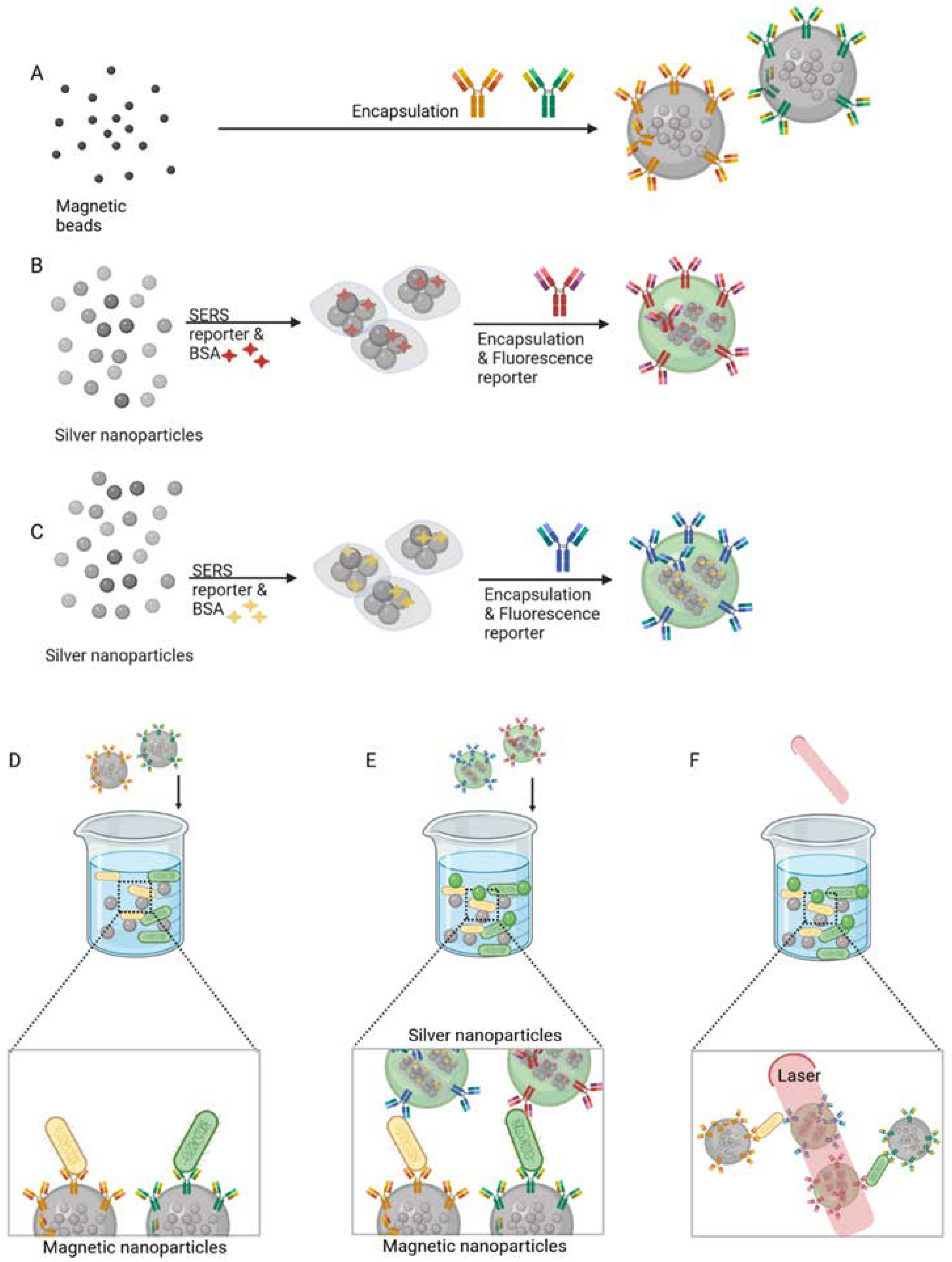 Biosensors | Free Full-Text | Novel Biorecognition Elements against ...