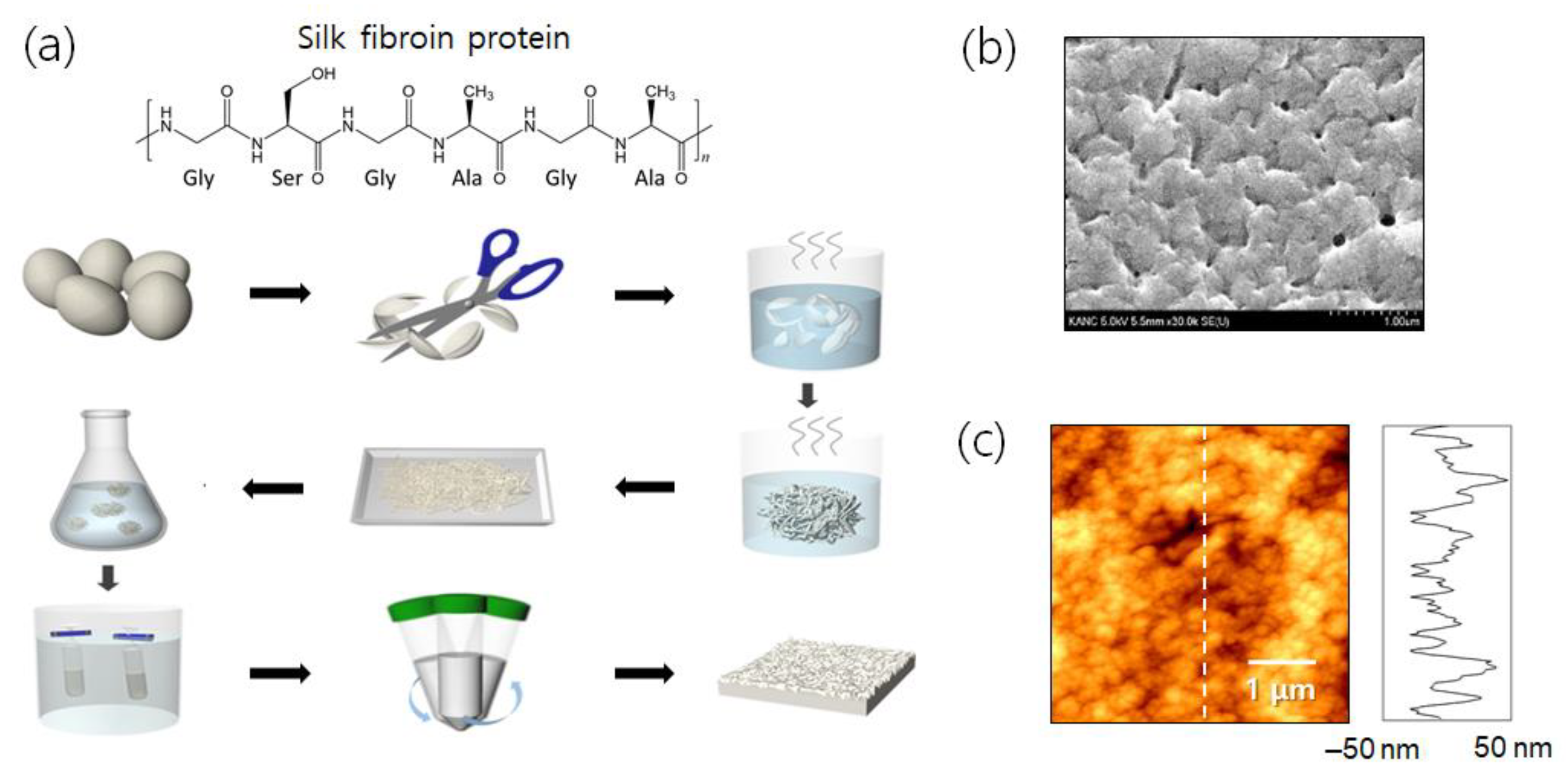 Multifunctional Biosensors Made with Self-Healable Silk Fibroin