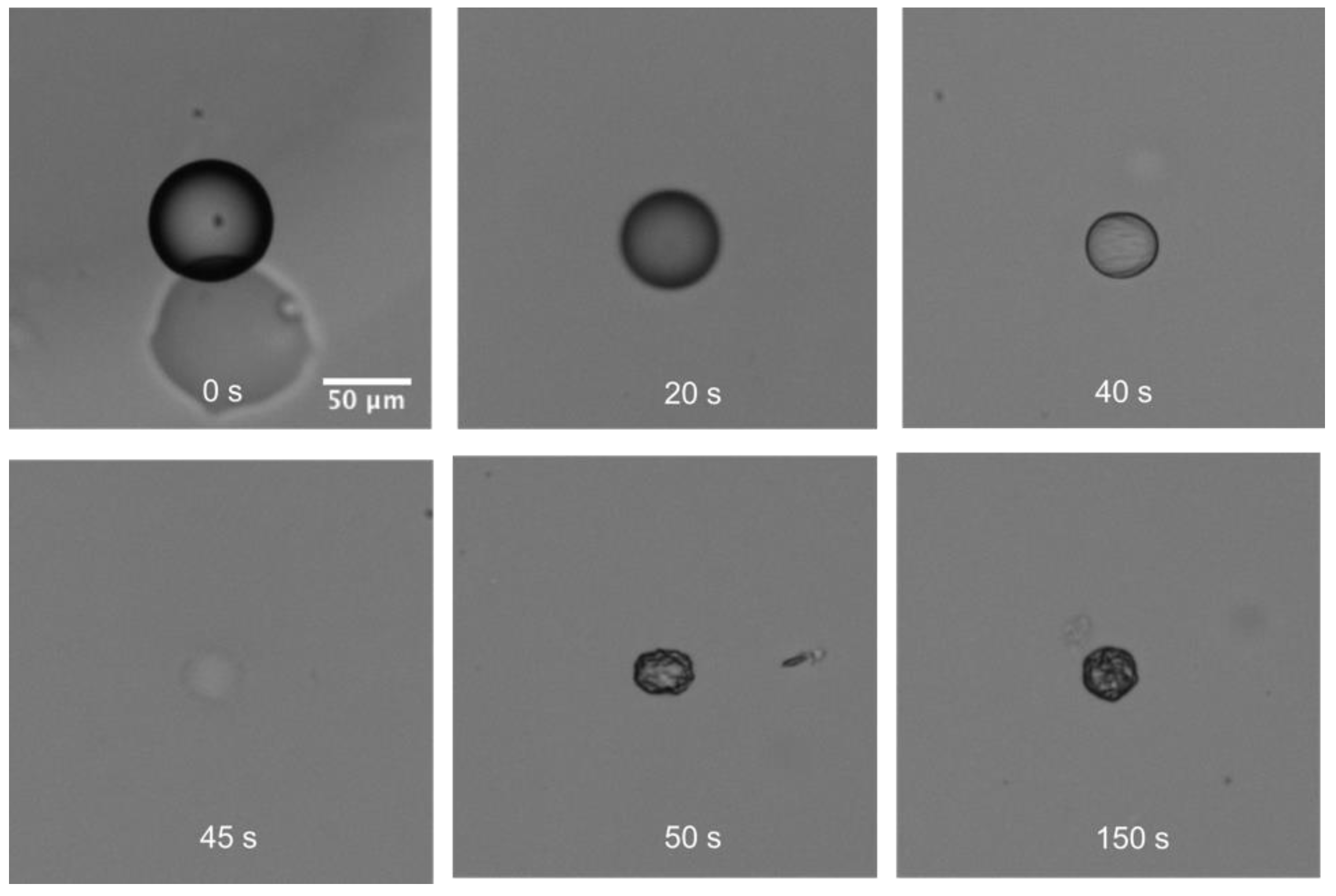 Biosensors 11 00460 g008