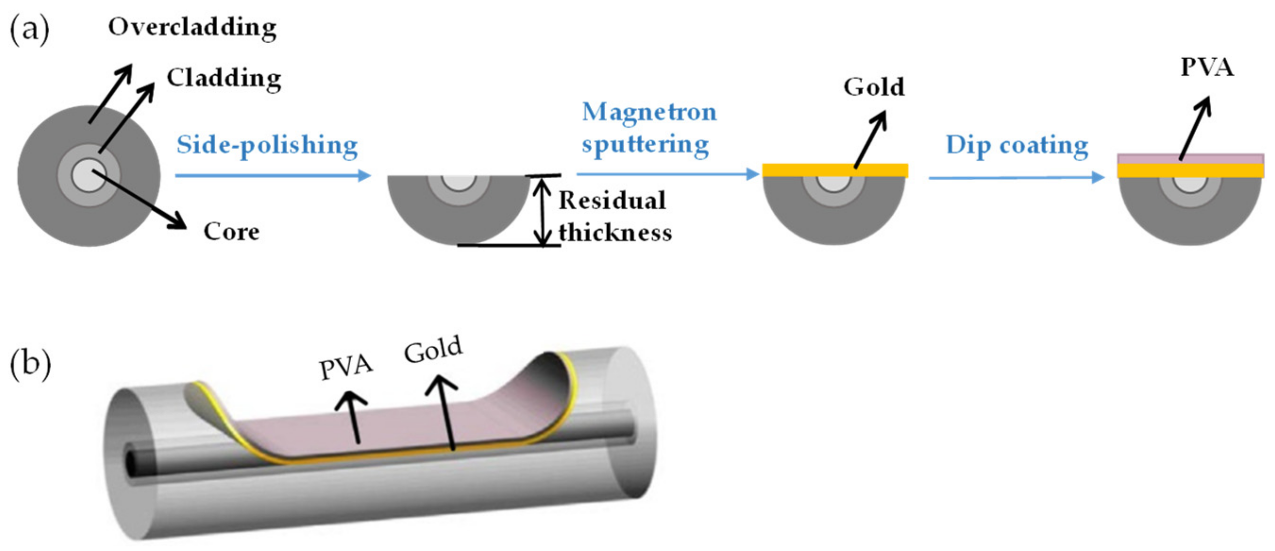 Biosensors 11 00461 g002