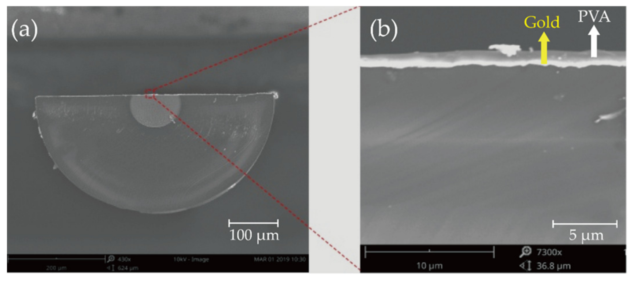 Biosensors 11 00461 g003