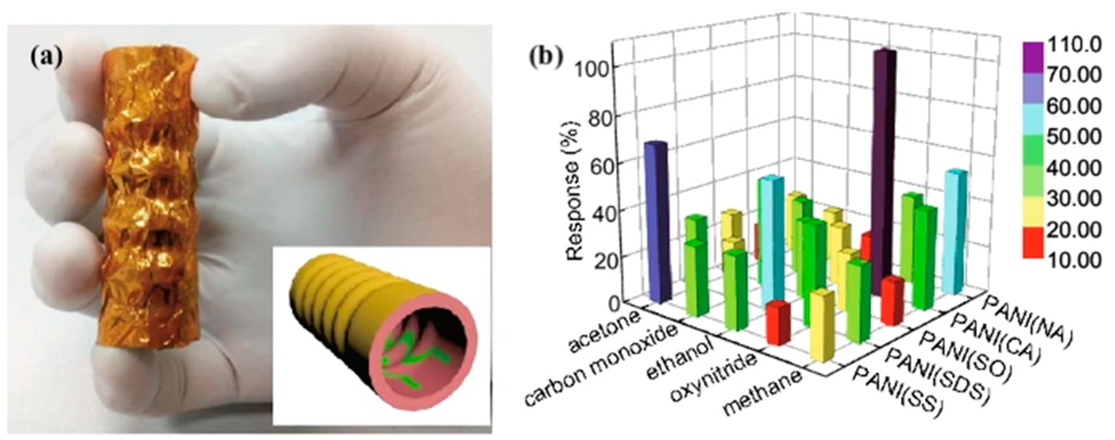 Biosensors 11 00476 g008
