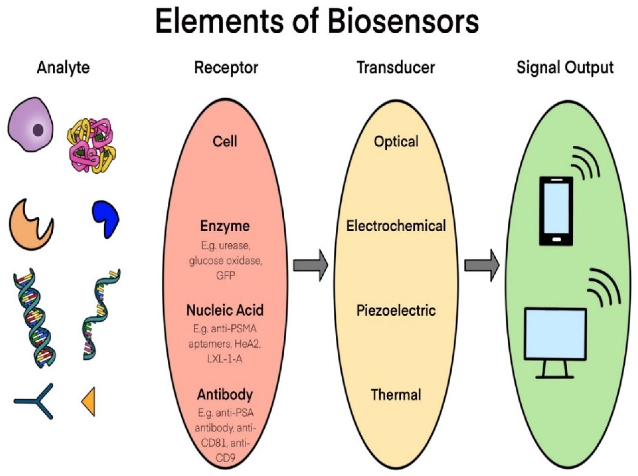 Biosensors 11 00500 g001