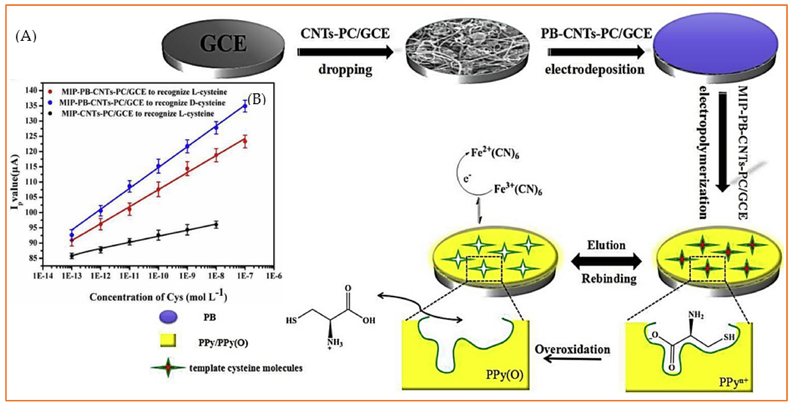 Biosensors 11 00502 g006