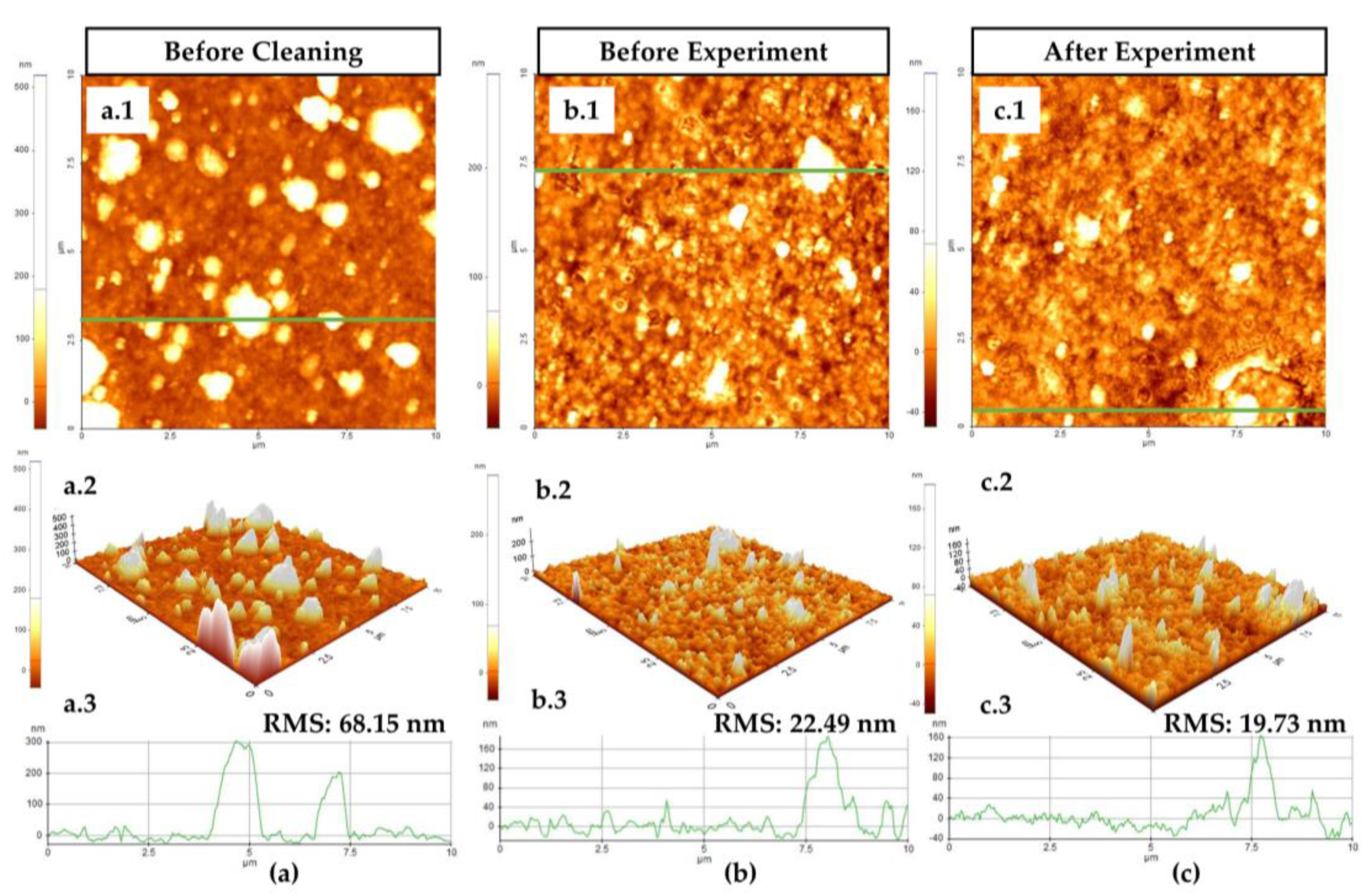 Biosensors 11 00508 g005