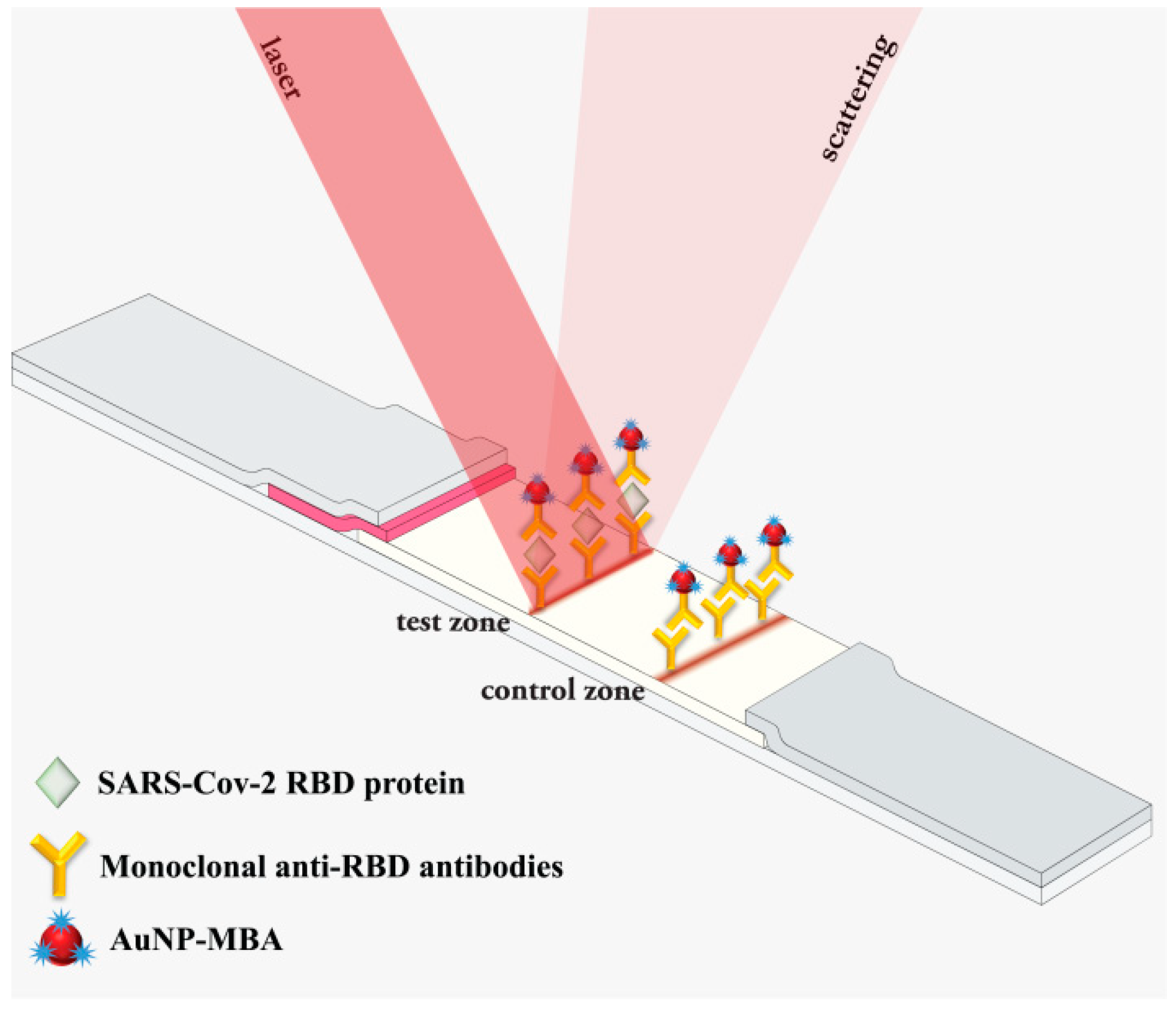 Biosensors Free Full Text Lateral Flow Immunoassay Of Sars Cov Antigen With Sers Based