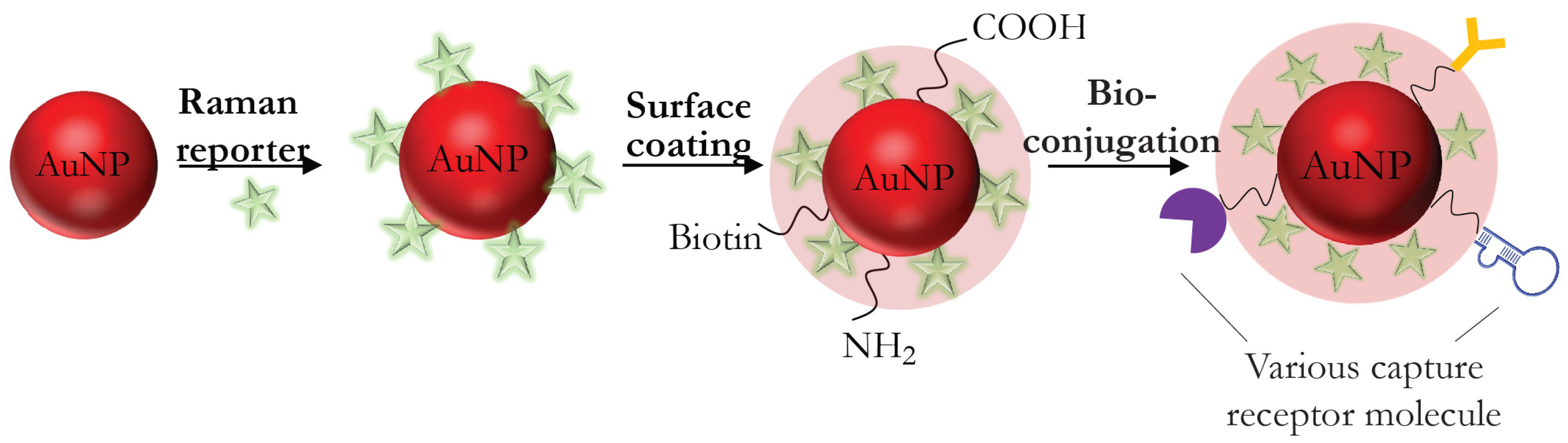 Biosensors 11 00512 g004 Biosensors 11 00512 g004