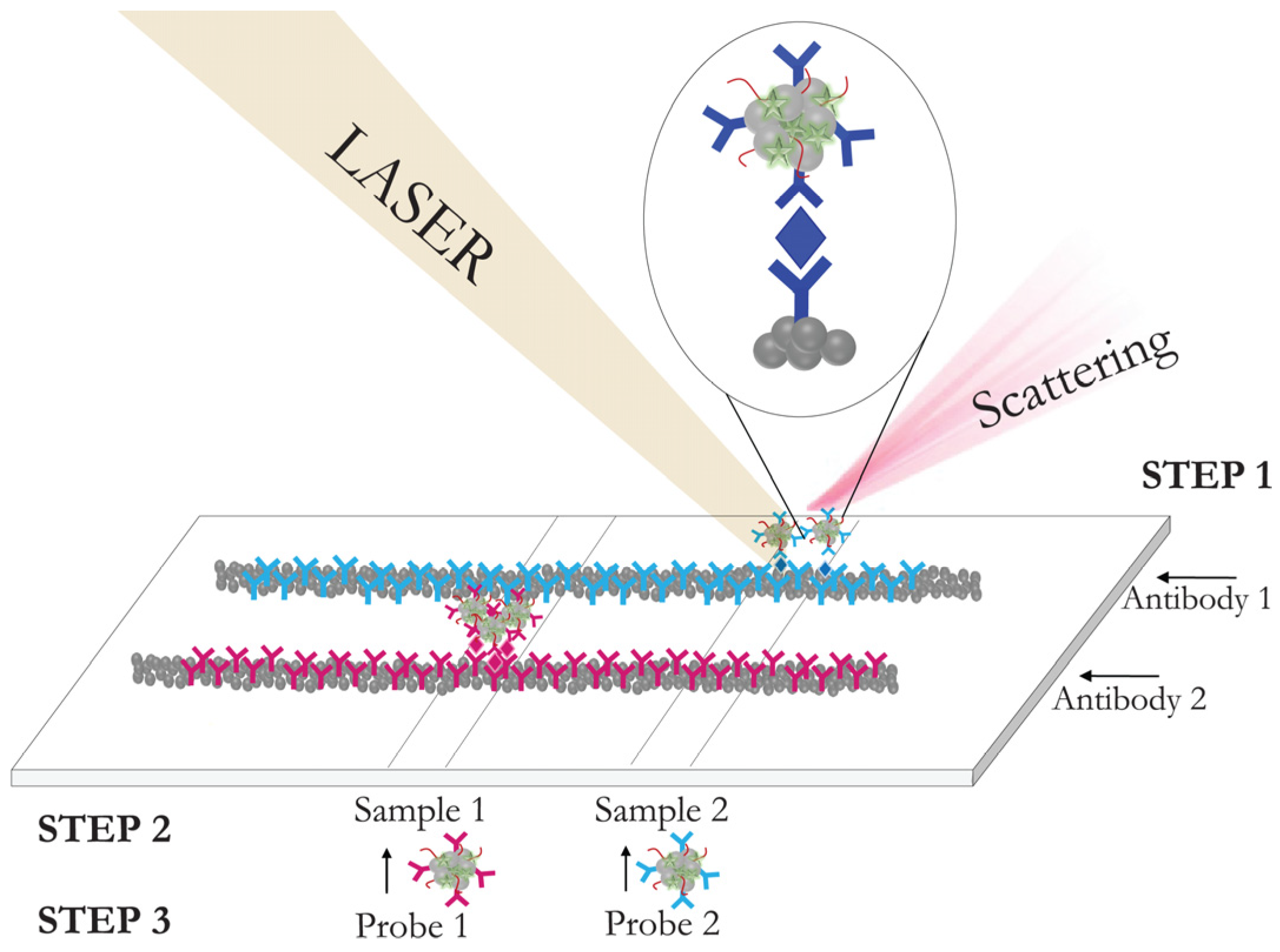 Biosensors 11 00512 g006 Biosensors 11 00512 g006