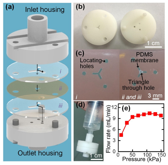 https://www.mdpi.com/biosensors/biosensors-12-00014/article_deploy/html/images/biosensors-12-00014-g004-550.jpg