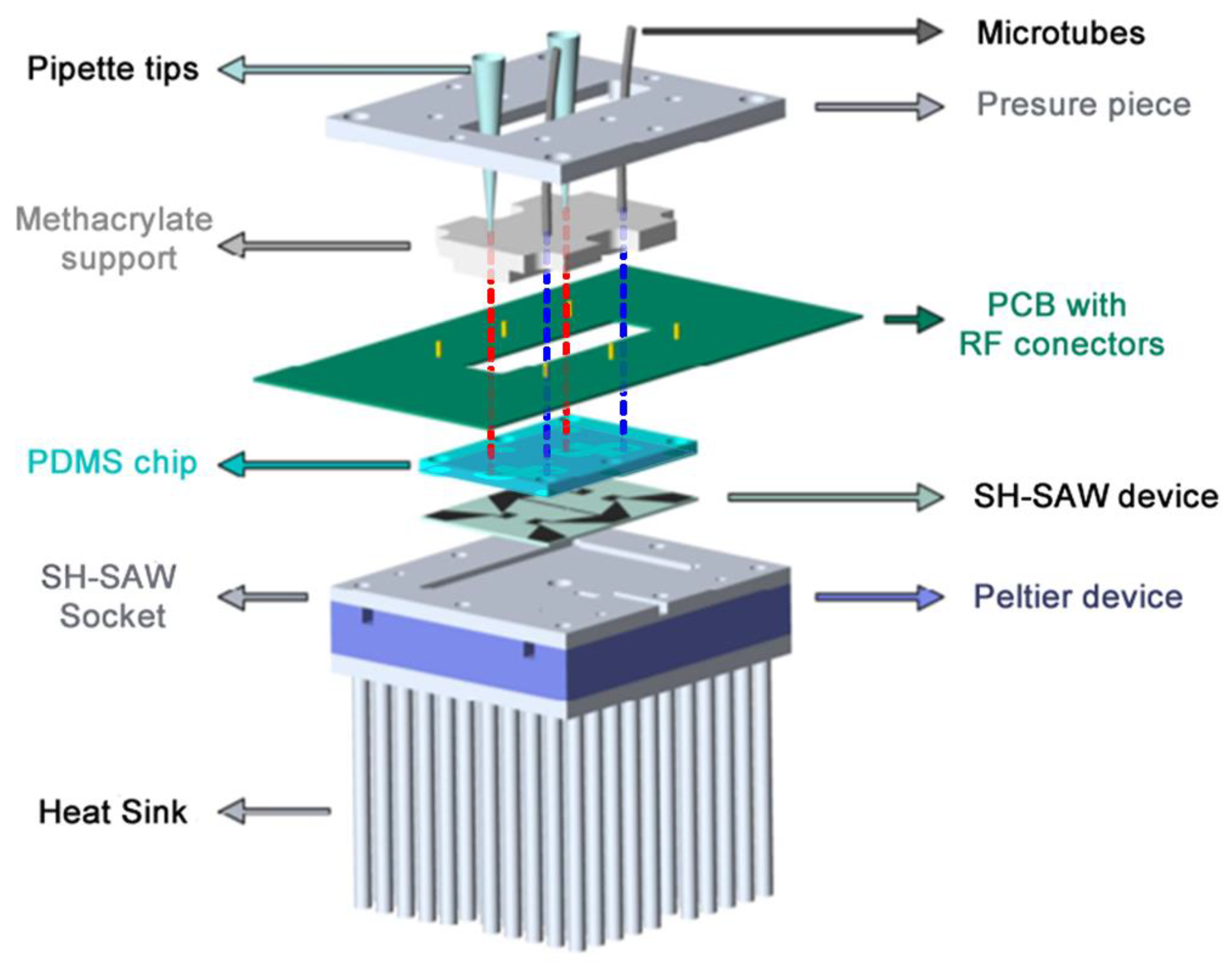 Biosensors 12 00017 g002