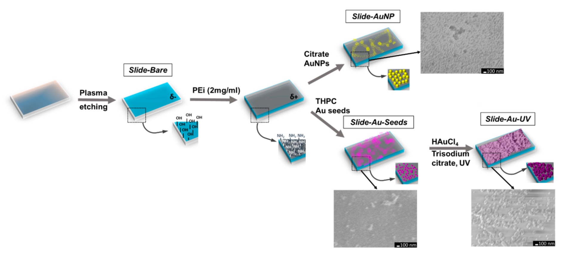 Biosensors 12 00019 g002