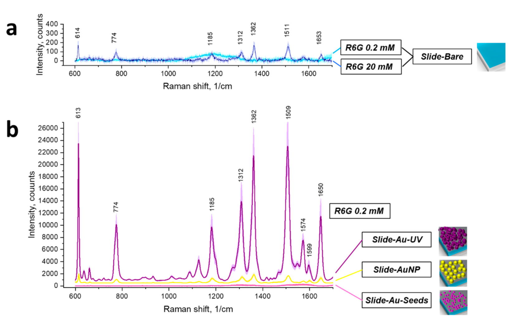 Biosensors 12 00019 g003