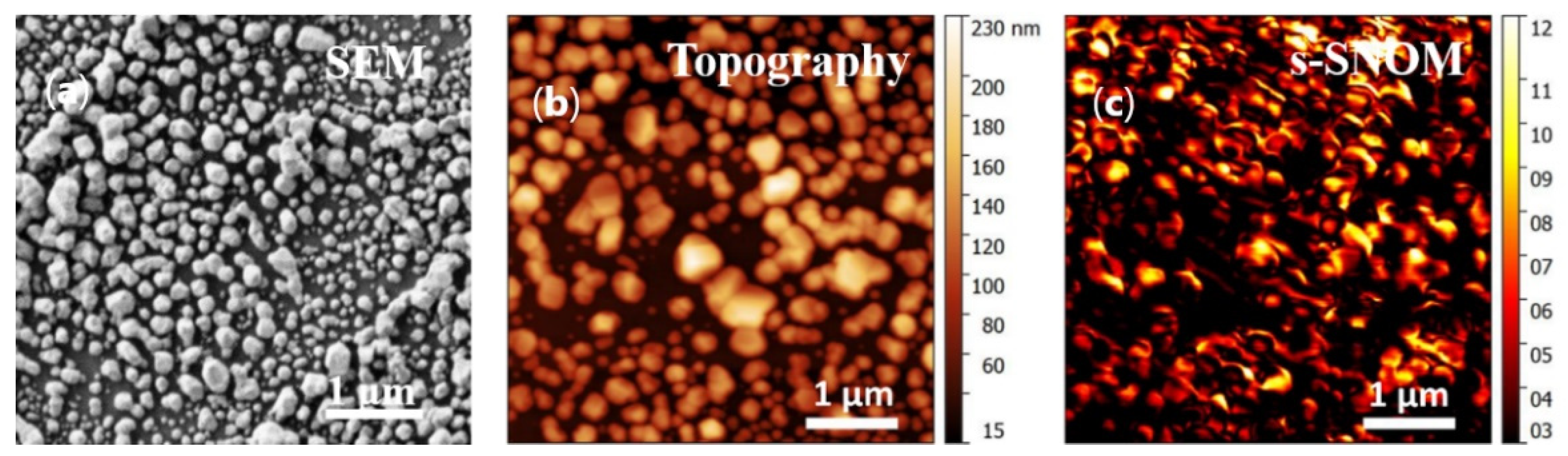 Biosensors 12 00032 g002
