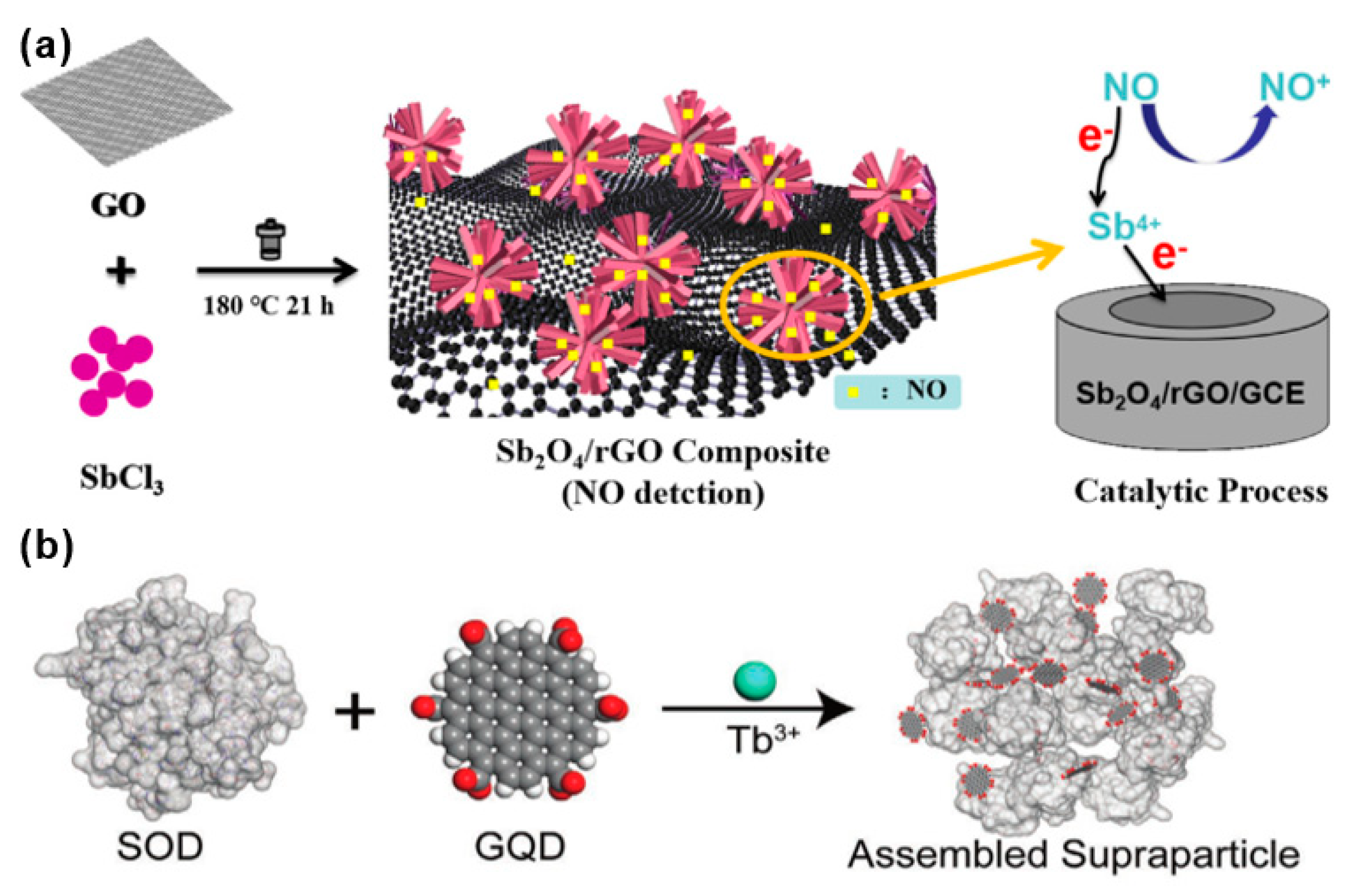 Biosensors 12 00048 g004