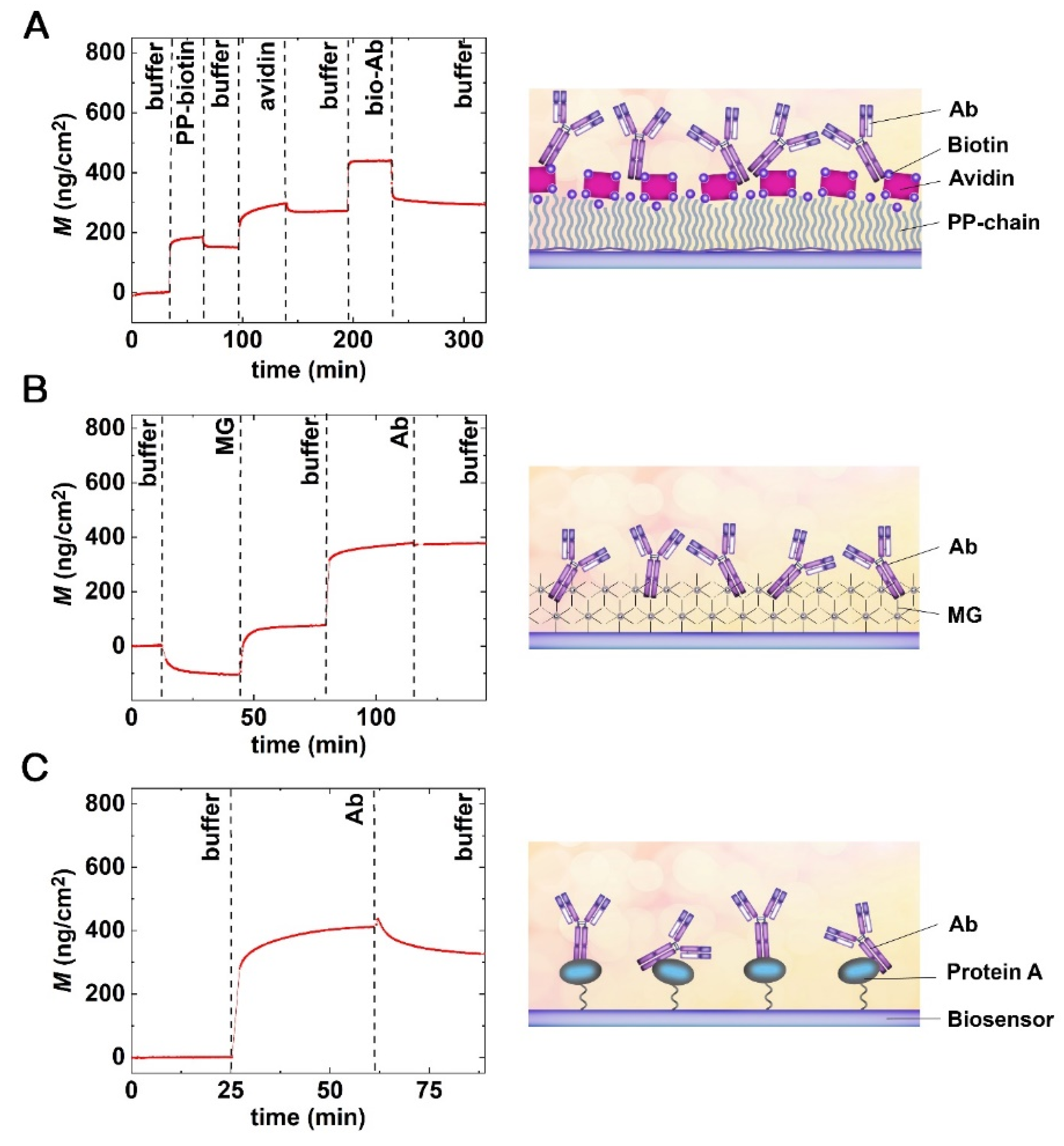 Biosensors 12 00056 g004