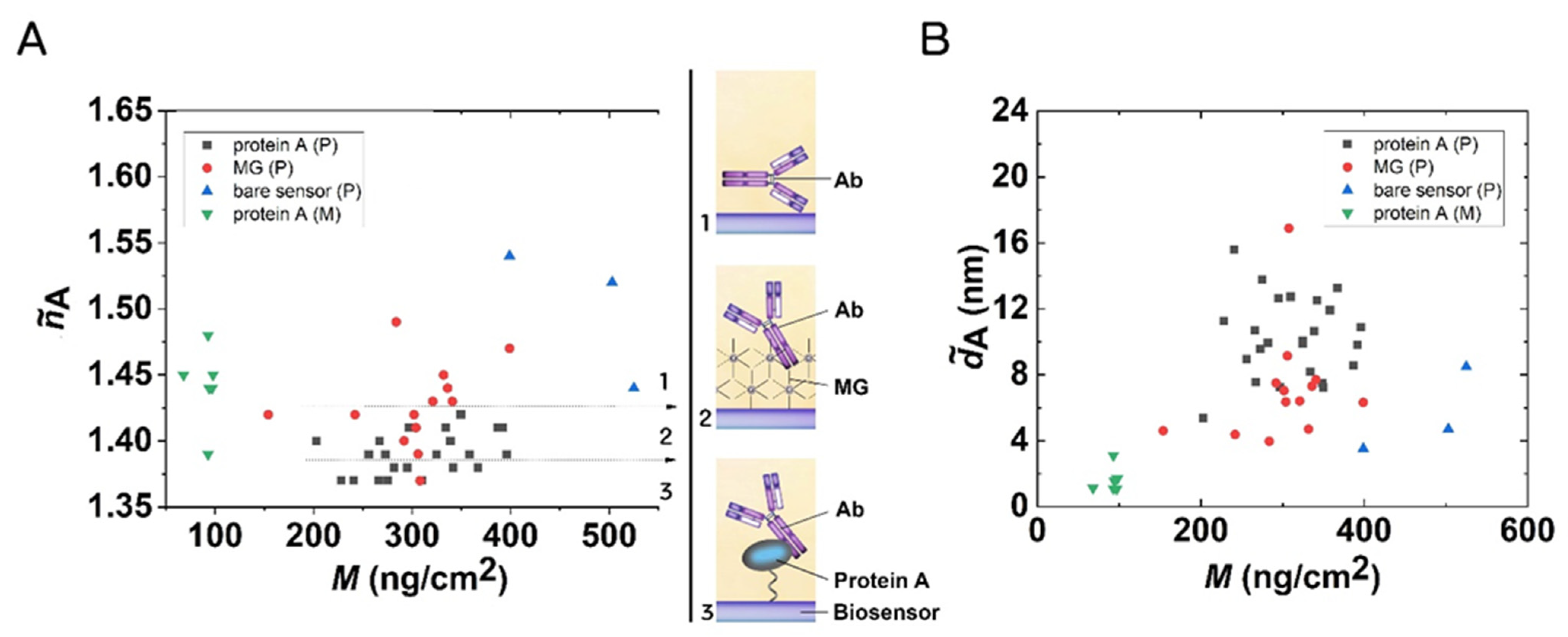 Biosensors 12 00056 g006