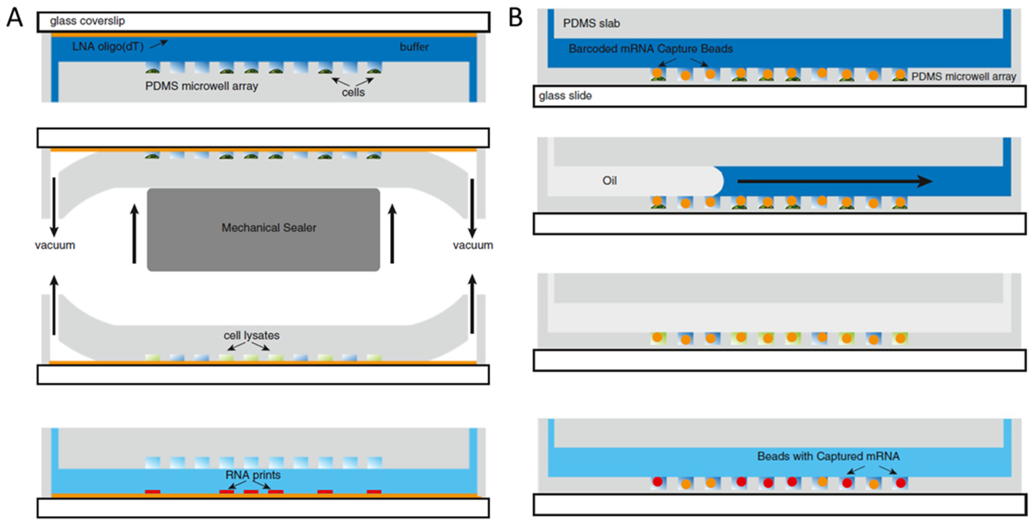 Biosensors 12 00058 g005