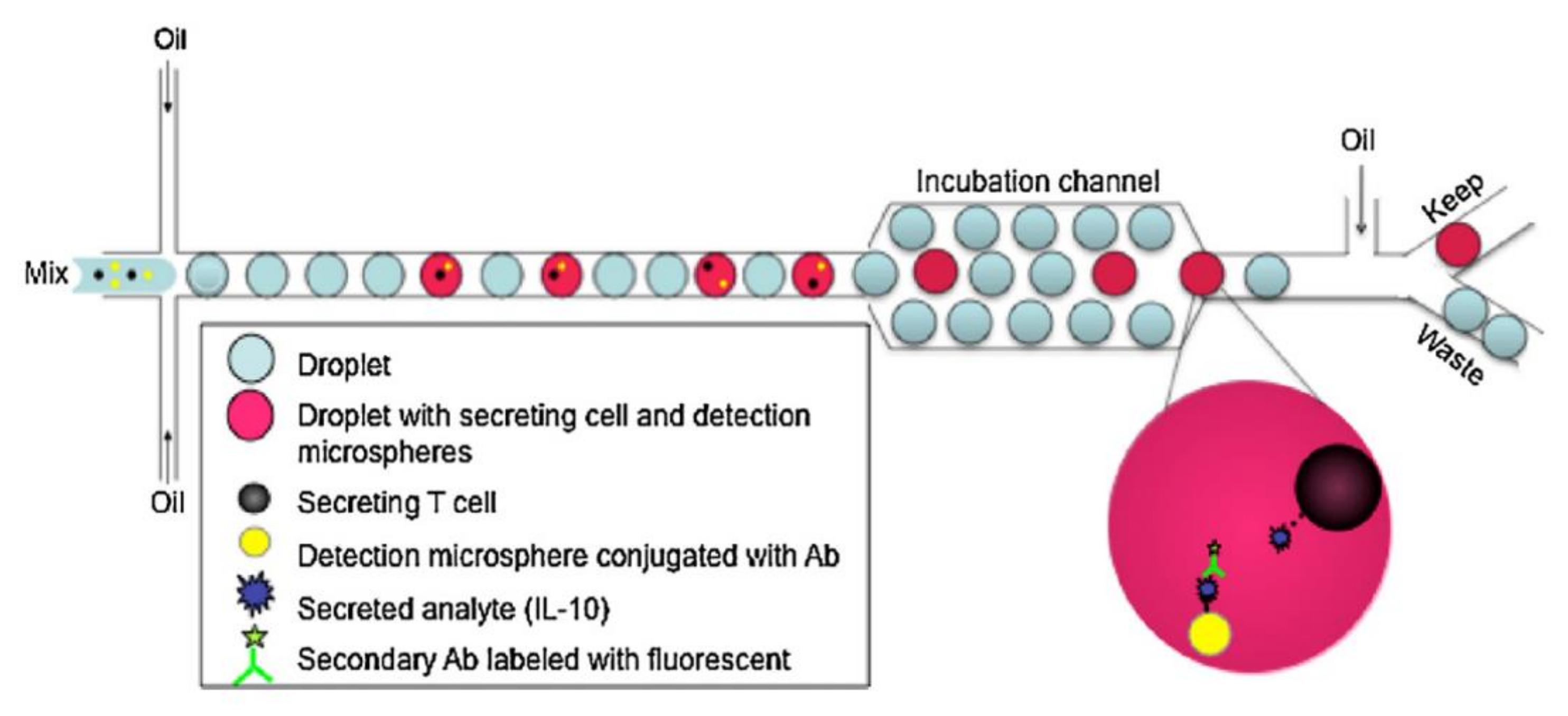 Biosensors 12 00058 g009