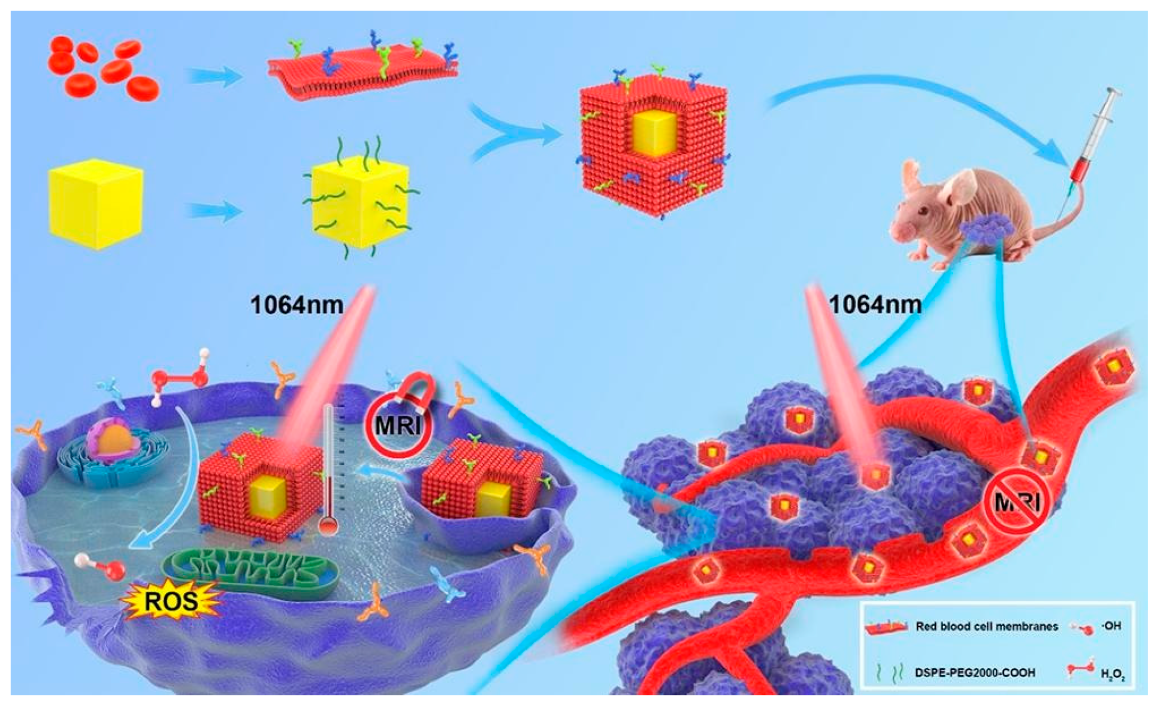 Biosensors 12 00086 g004