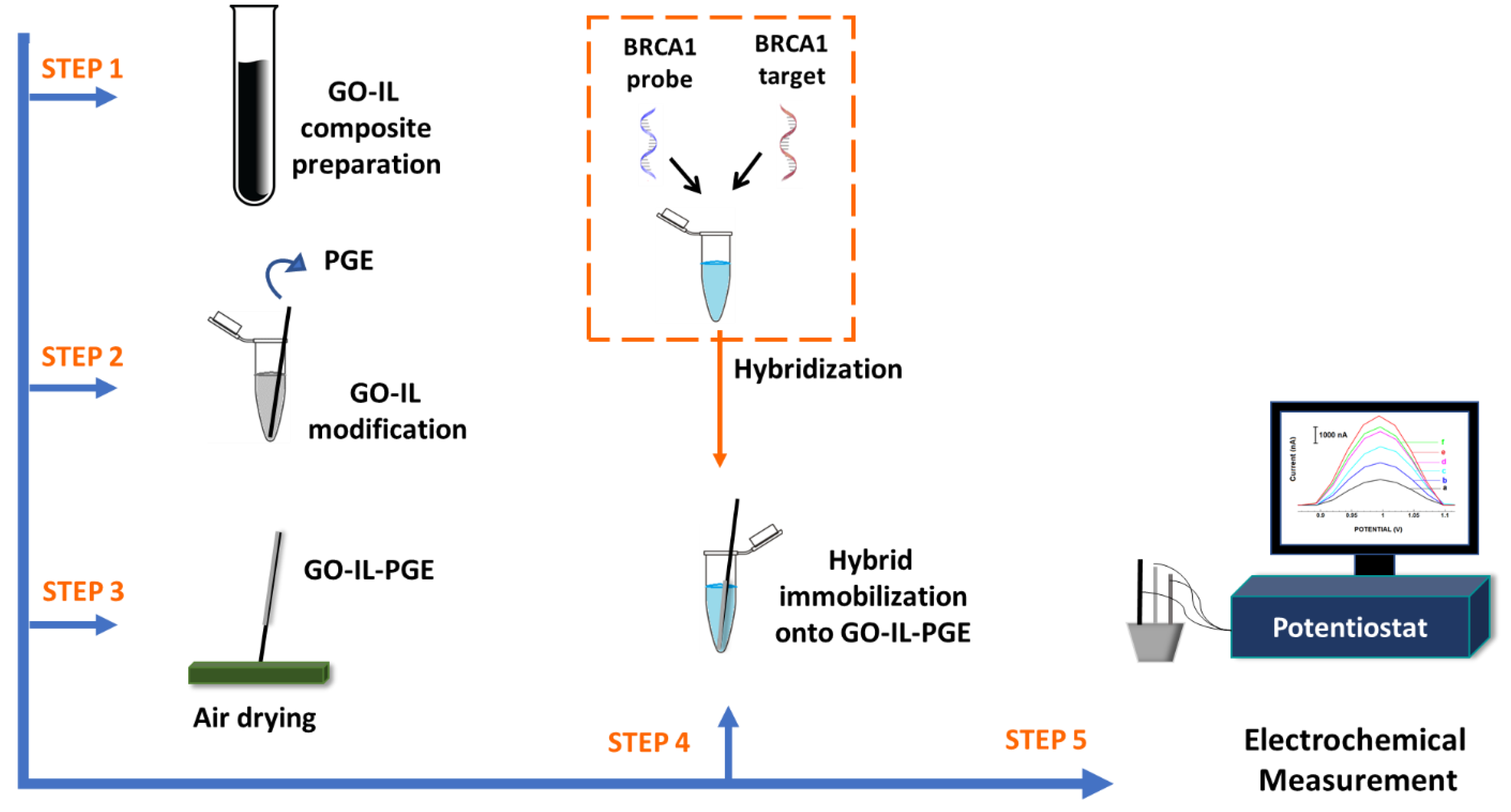 Biosensors 12 00095 g001