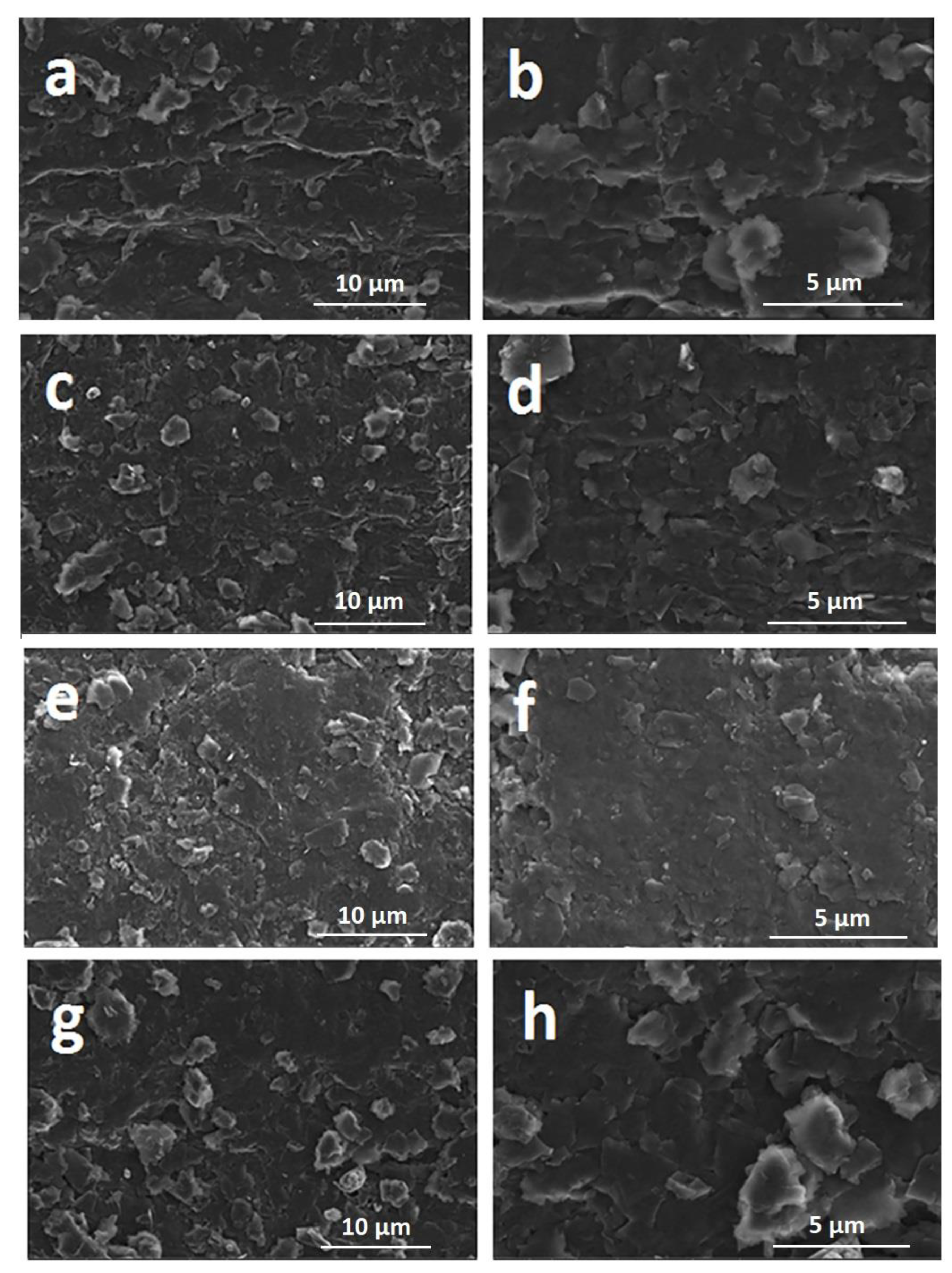 Biosensors 12 00095 g002