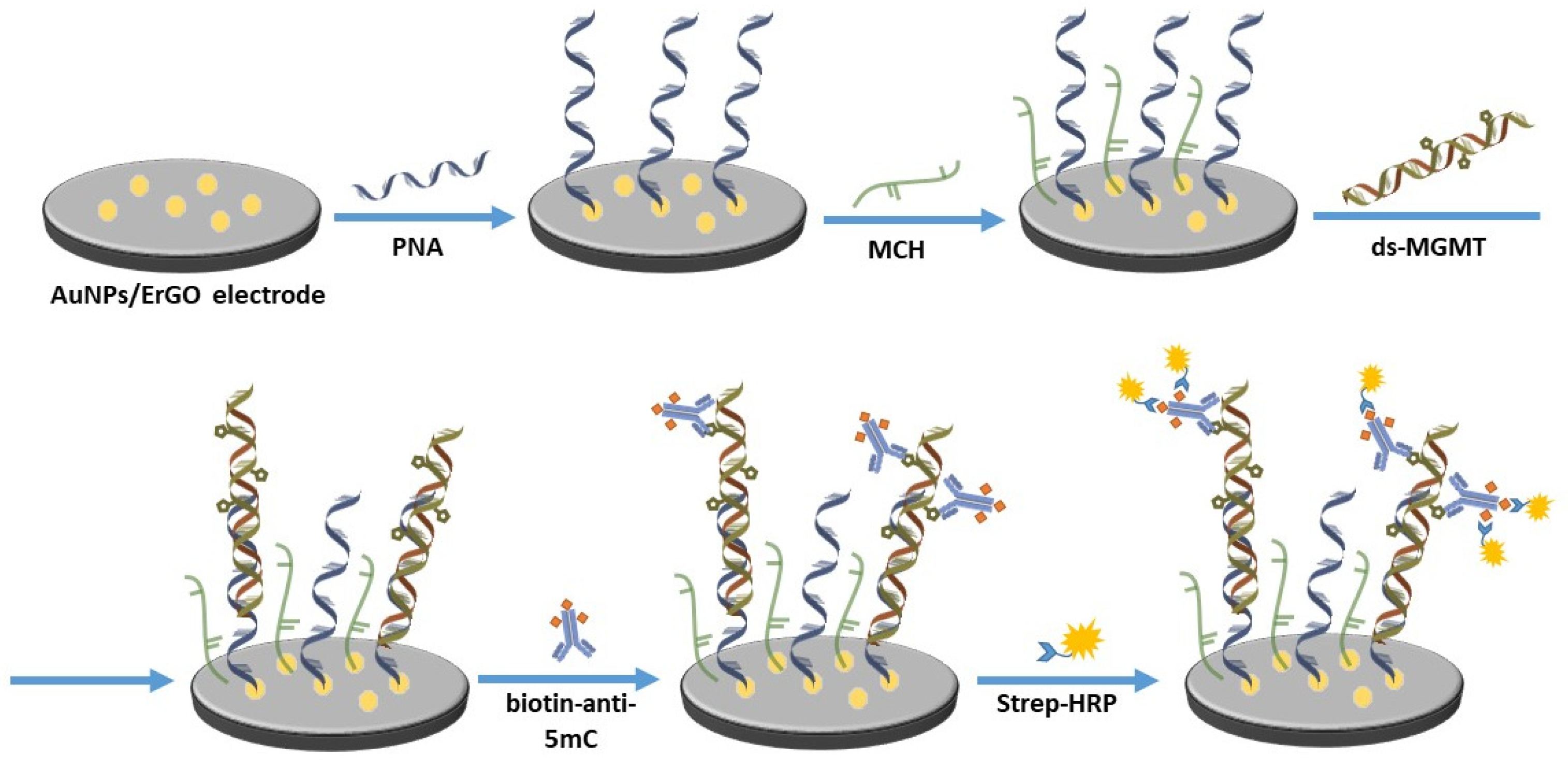 Biosensors 12 00098 g001