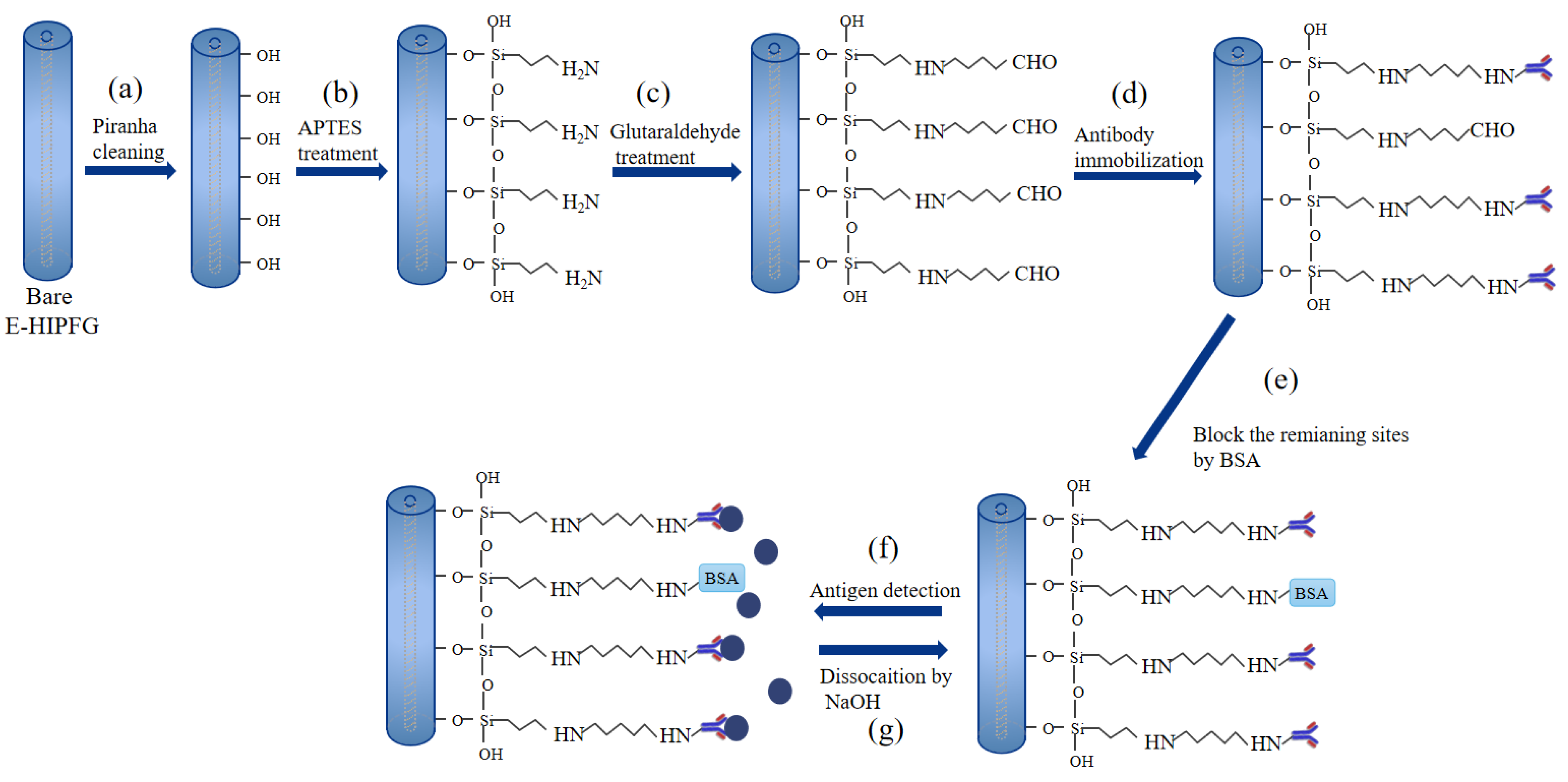 Biosensors 12 00099 g001