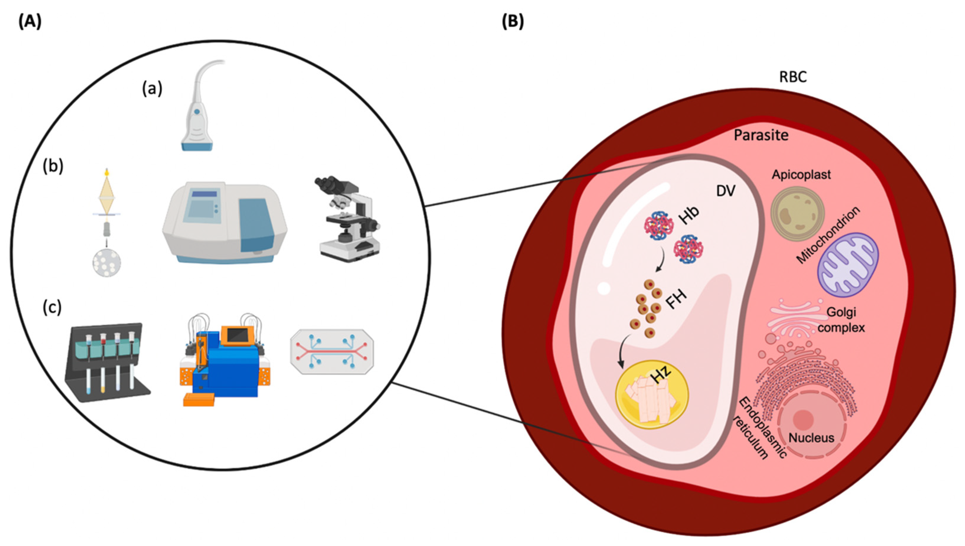 Biosensors | Free Full-Text | Review of Microdevices for Hemozoin-Based  Malaria Detection