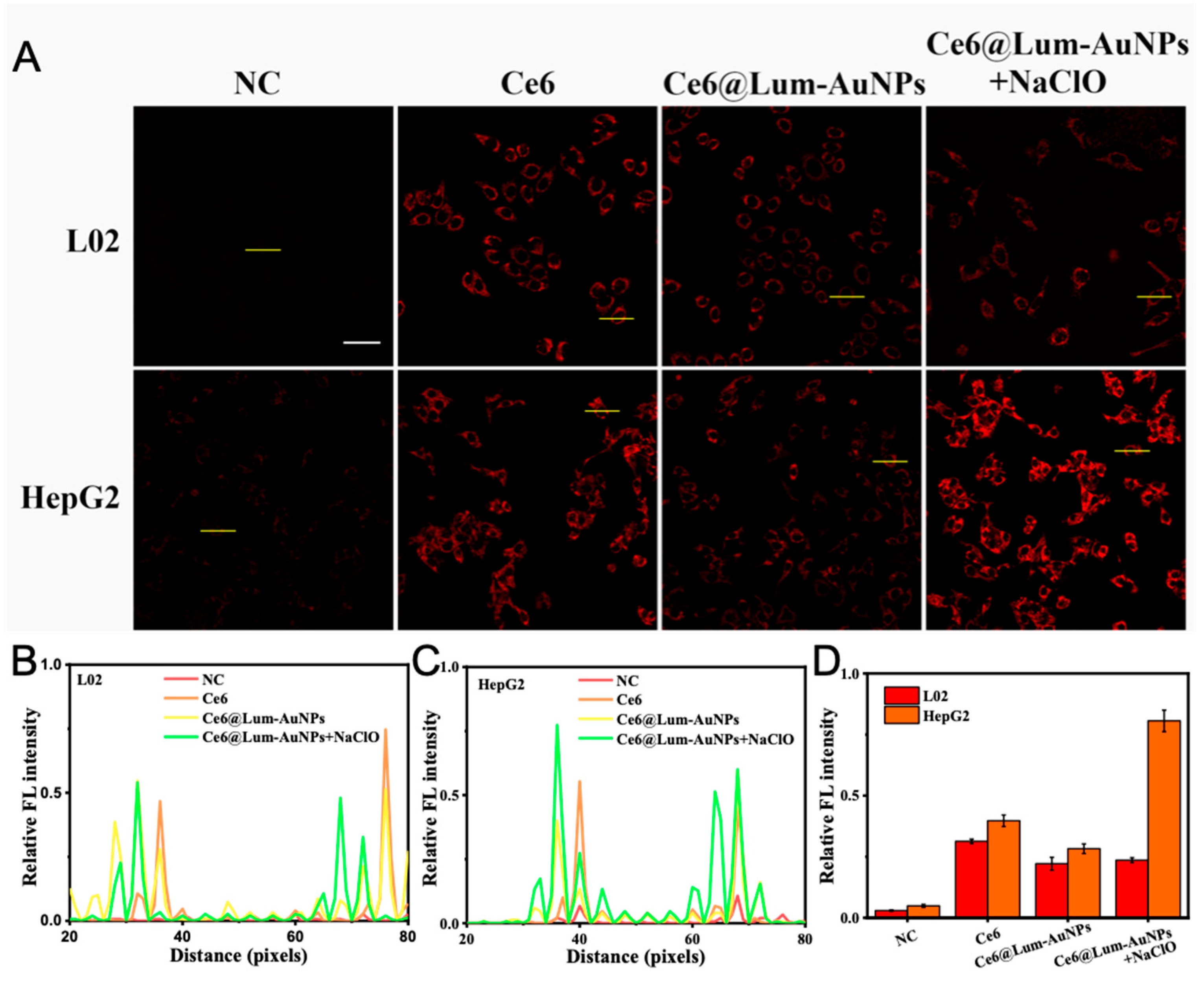 Biosensors 12 00111 g008