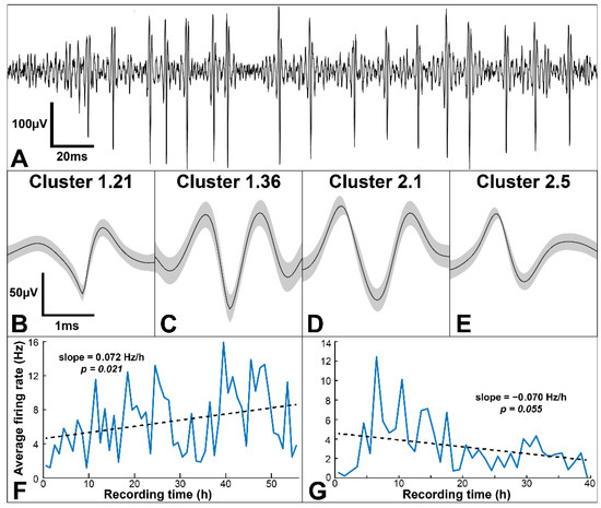 Biosensors | Free Full-Text | Decoding Vagus-Nerve Activity with