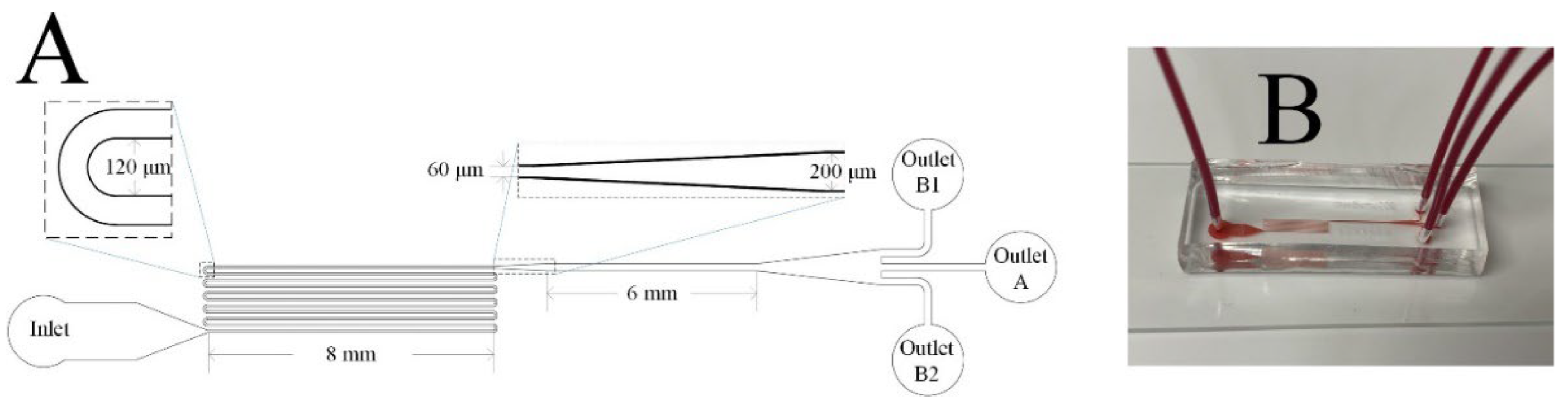 Biosensors 12 00120 g001