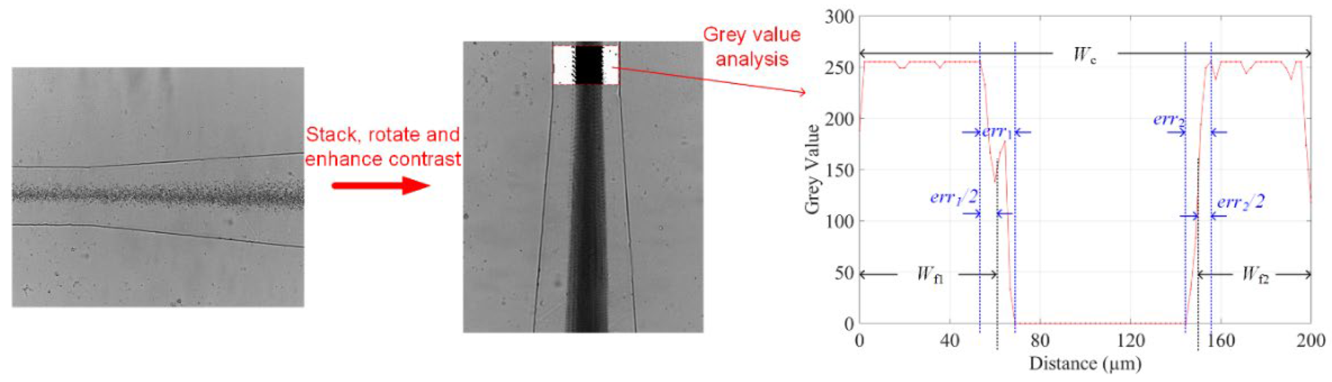 Biosensors 12 00120 g003