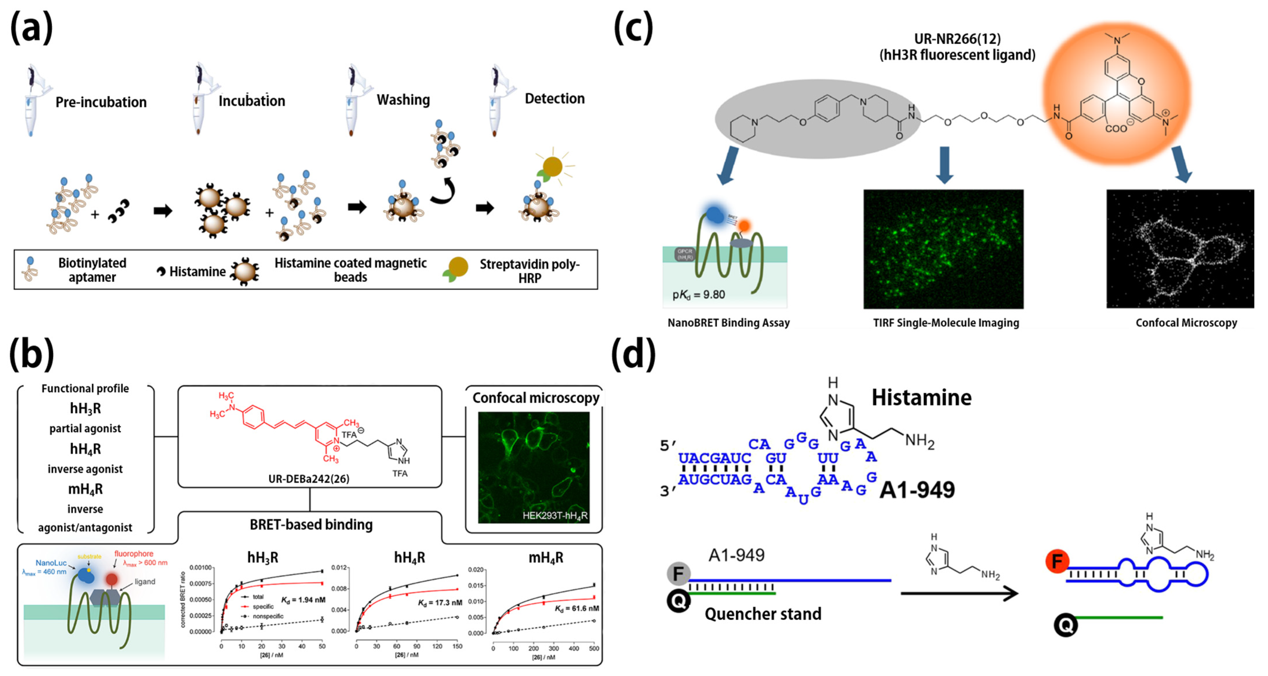 Biosensors 12 00161 g003