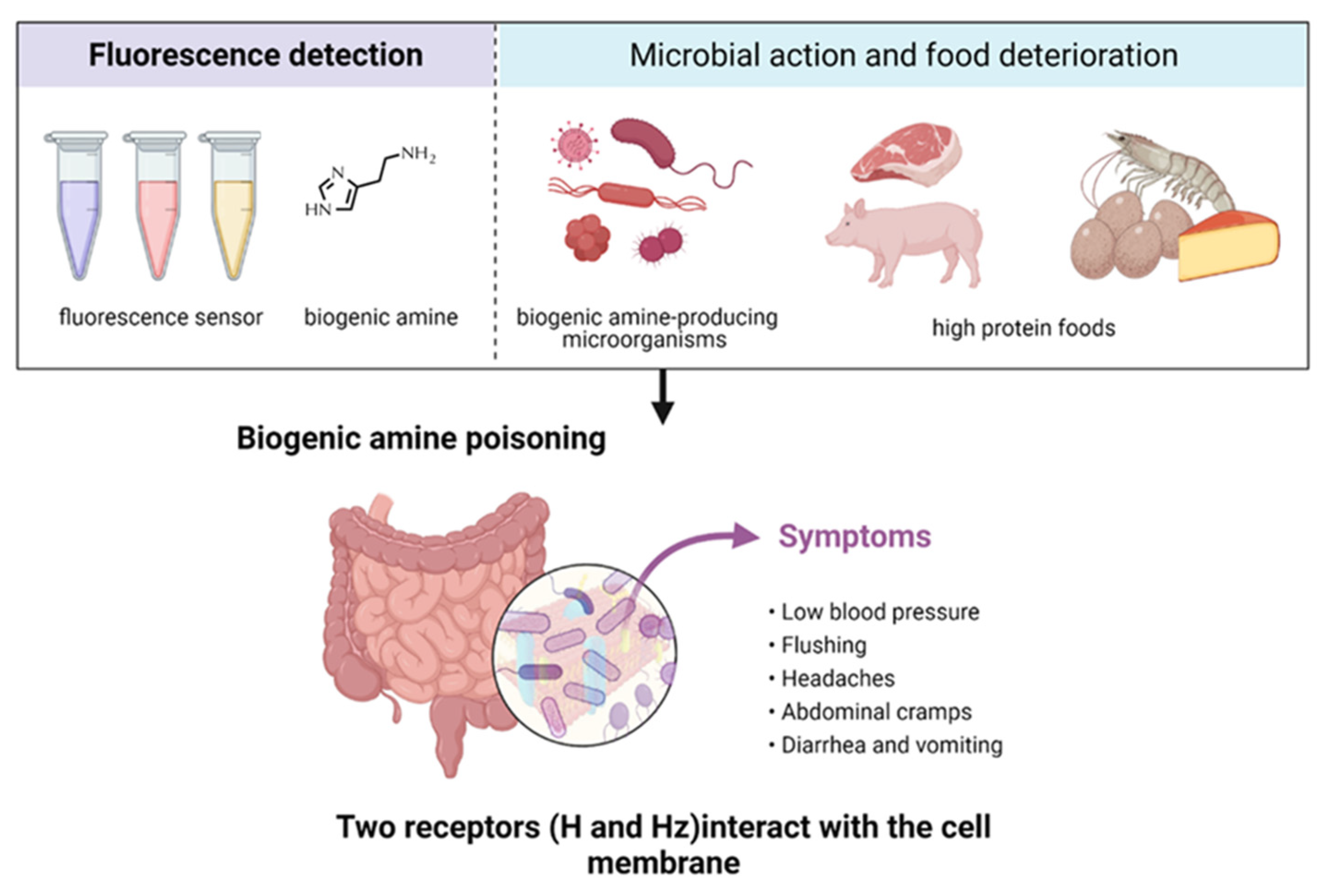 Biosensors 12 00161 sch001