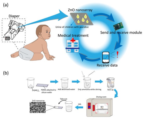 Biosensors | Free Full-Text | Self-Powered Wearable Biosensor in a Baby  Diaper for Monitoring Neonatal Jaundice through a Hydrovoltaic-Biosensing  Coupling Effect of ZnO Nanoarray