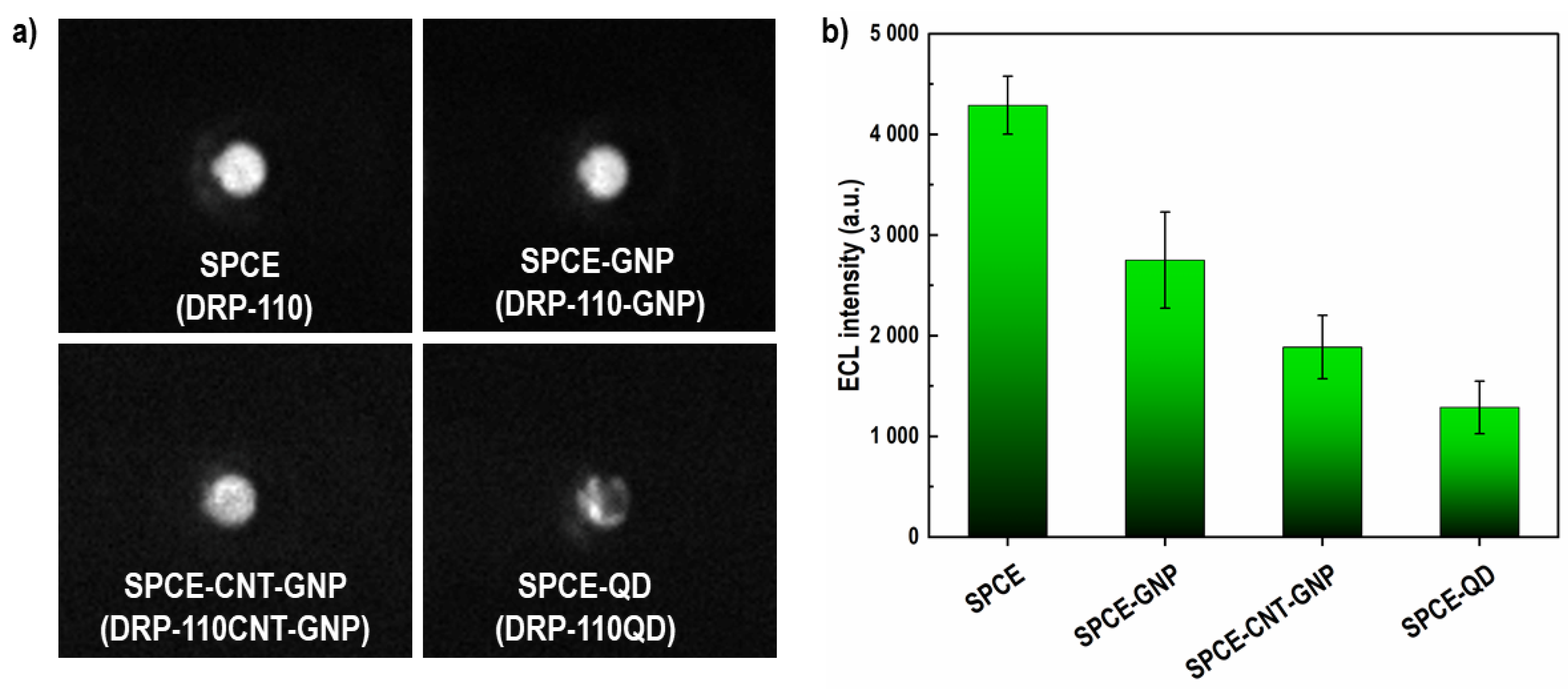 Biosensors 12 00172 g002