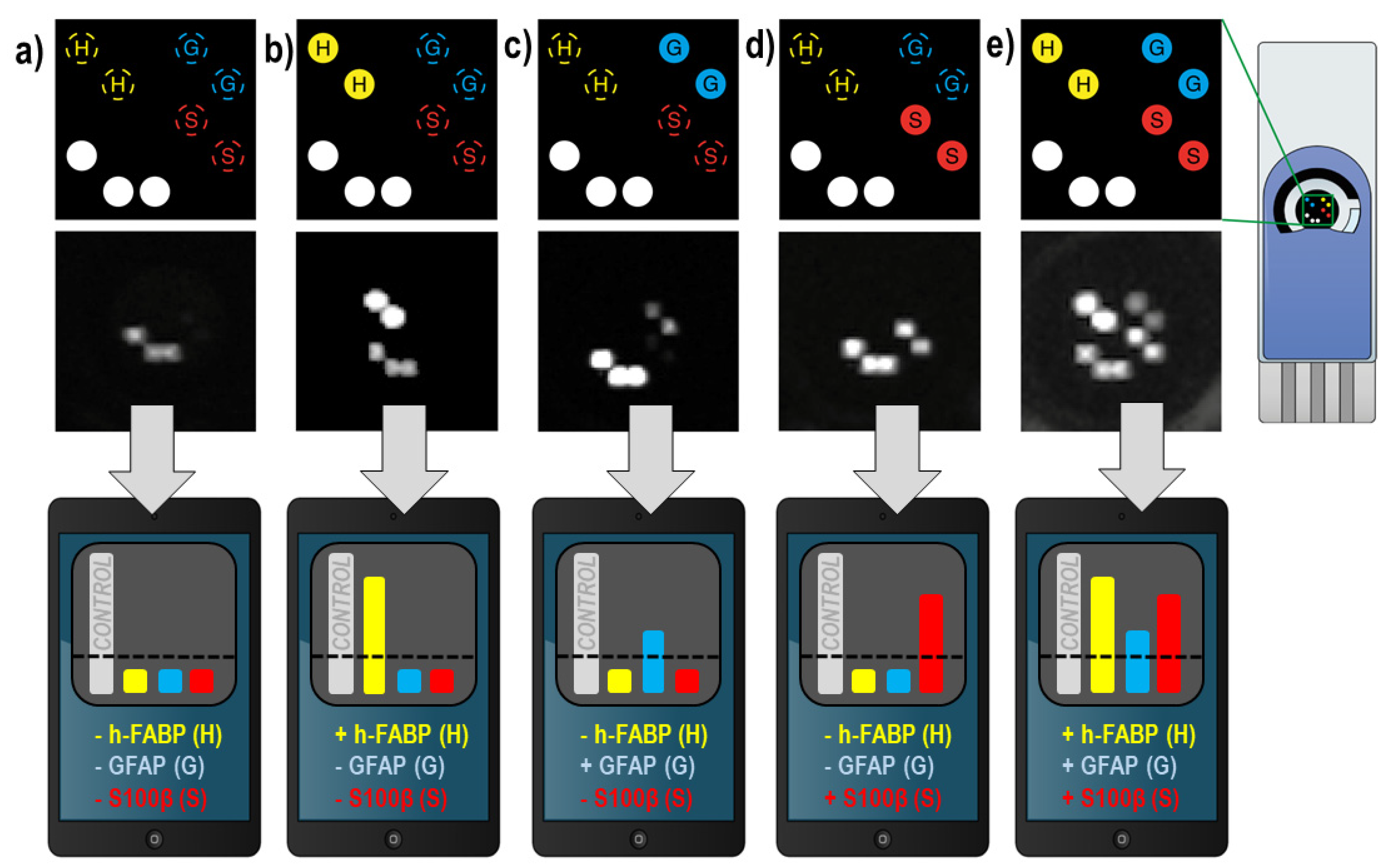 Biosensors 12 00172 g005