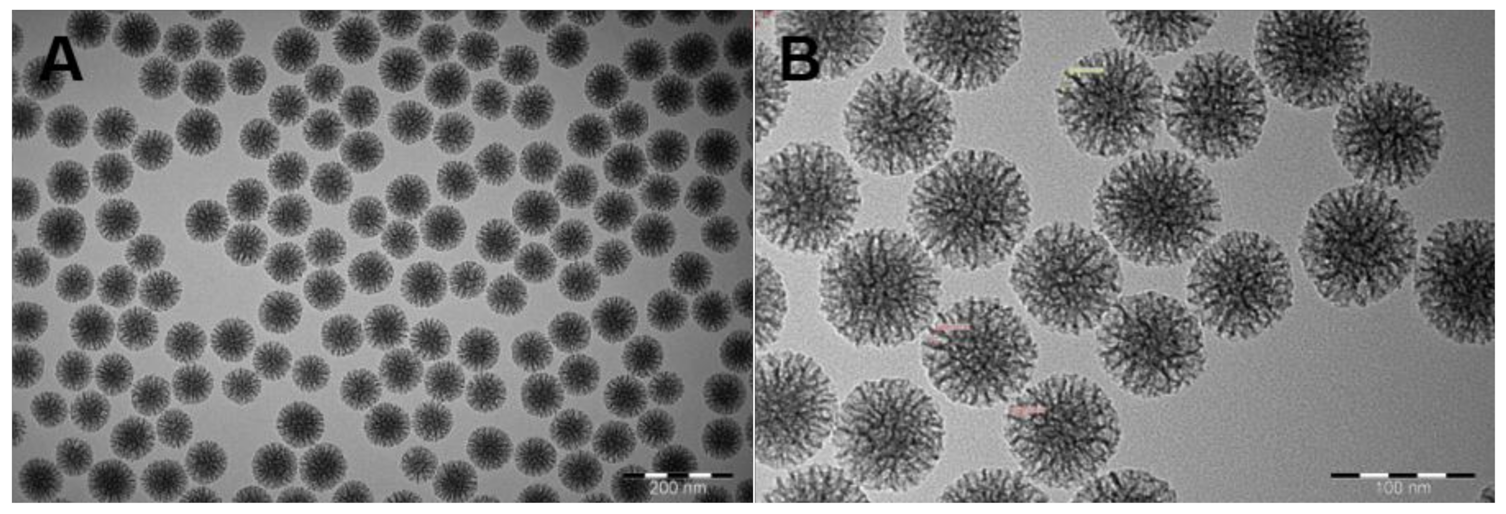 Biosensors 12 00181 g002