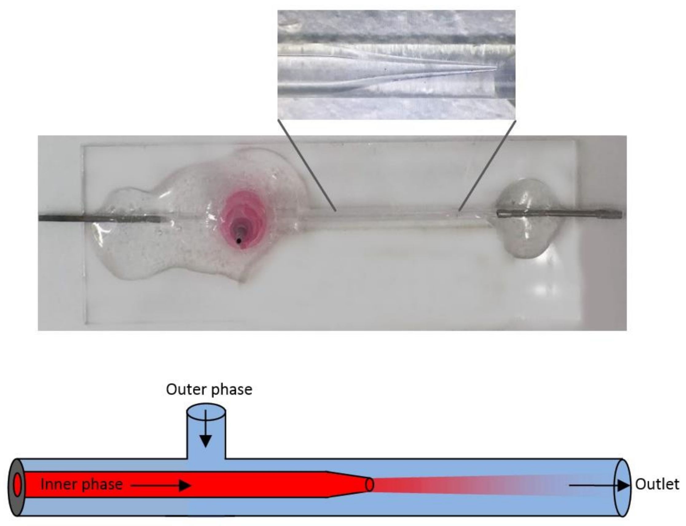 Biosensors 12 00181 g007