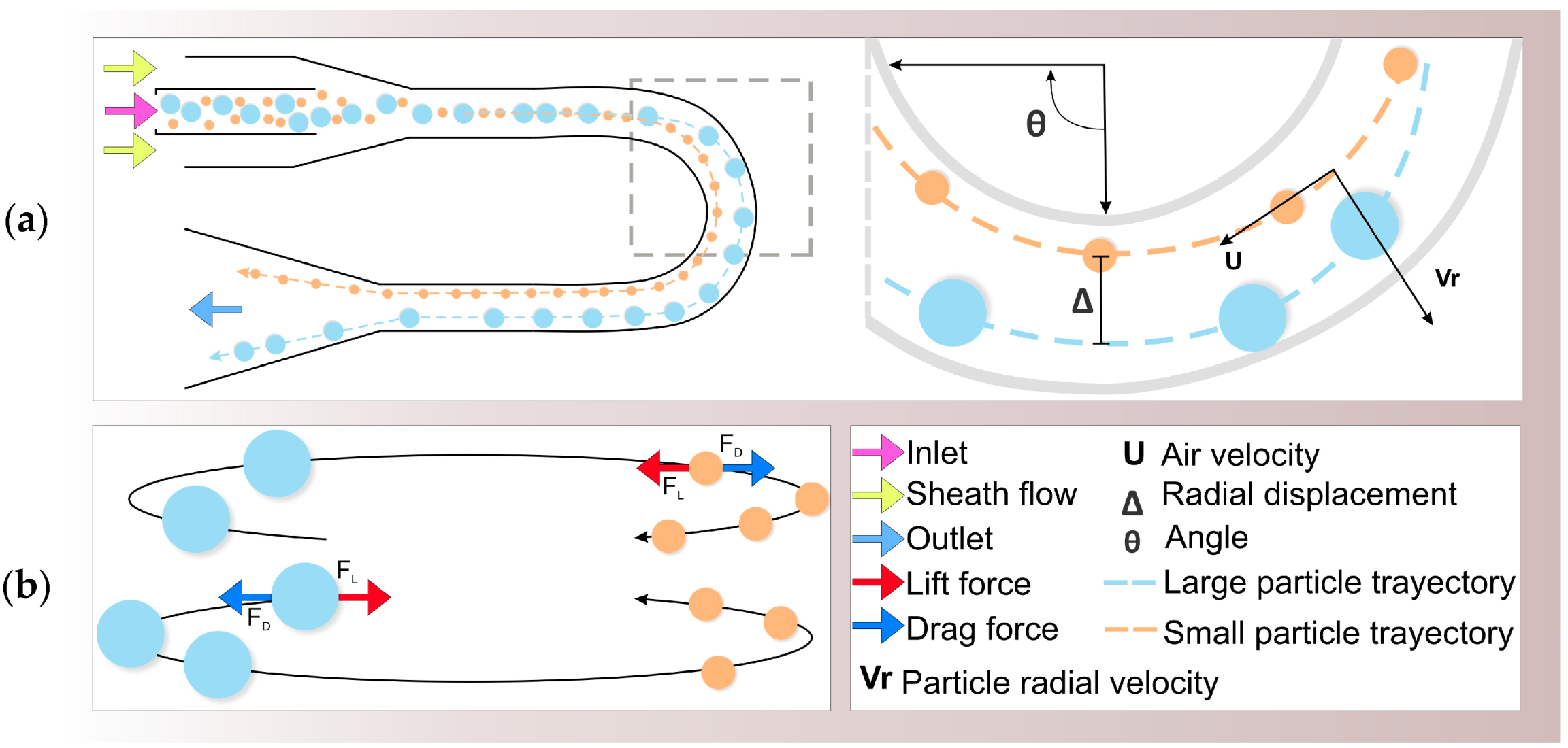 Biosensors 12 00191 g002