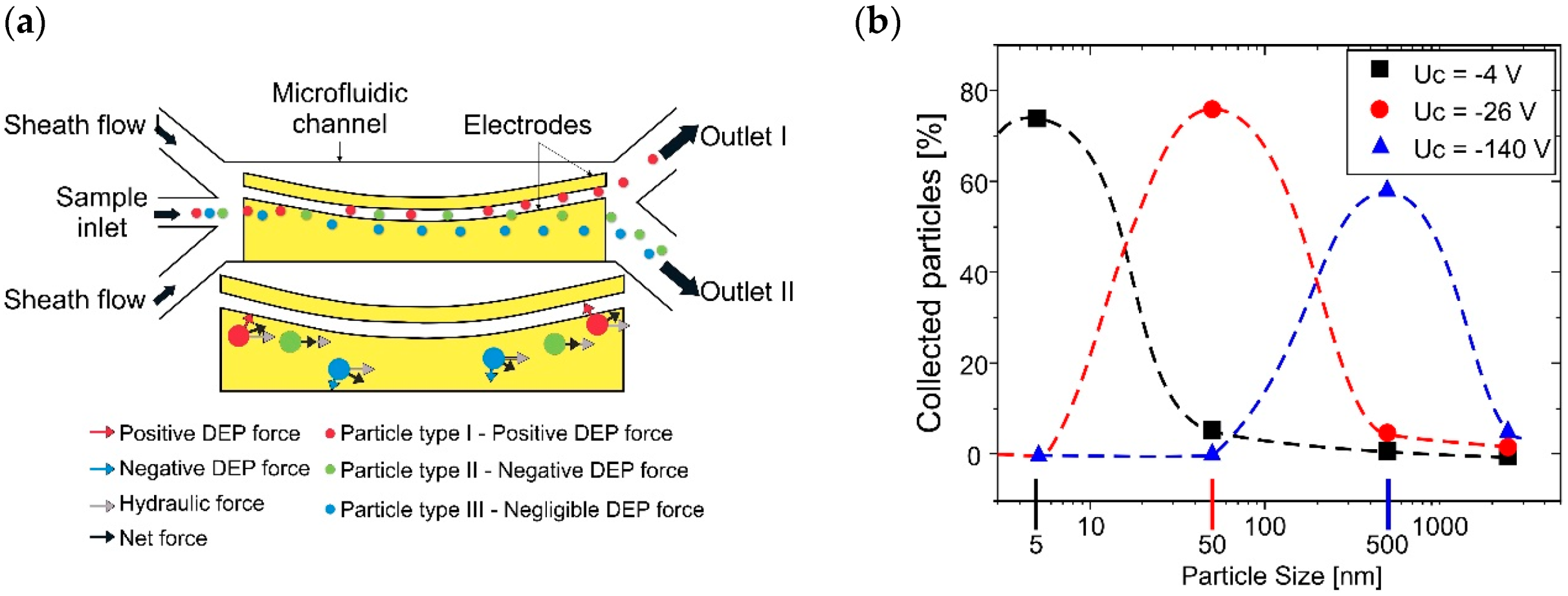 Biosensors 12 00191 g005