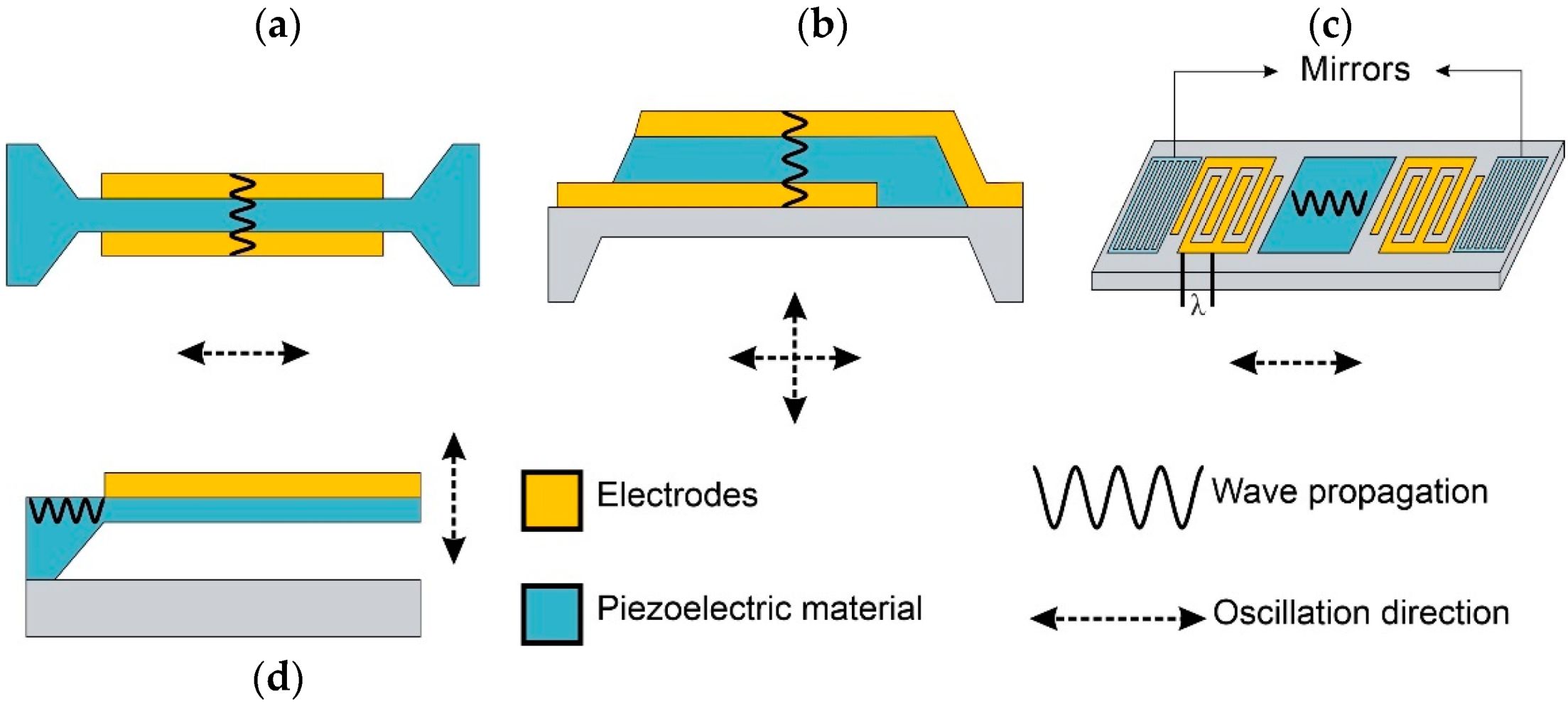Biosensors 12 00191 g006